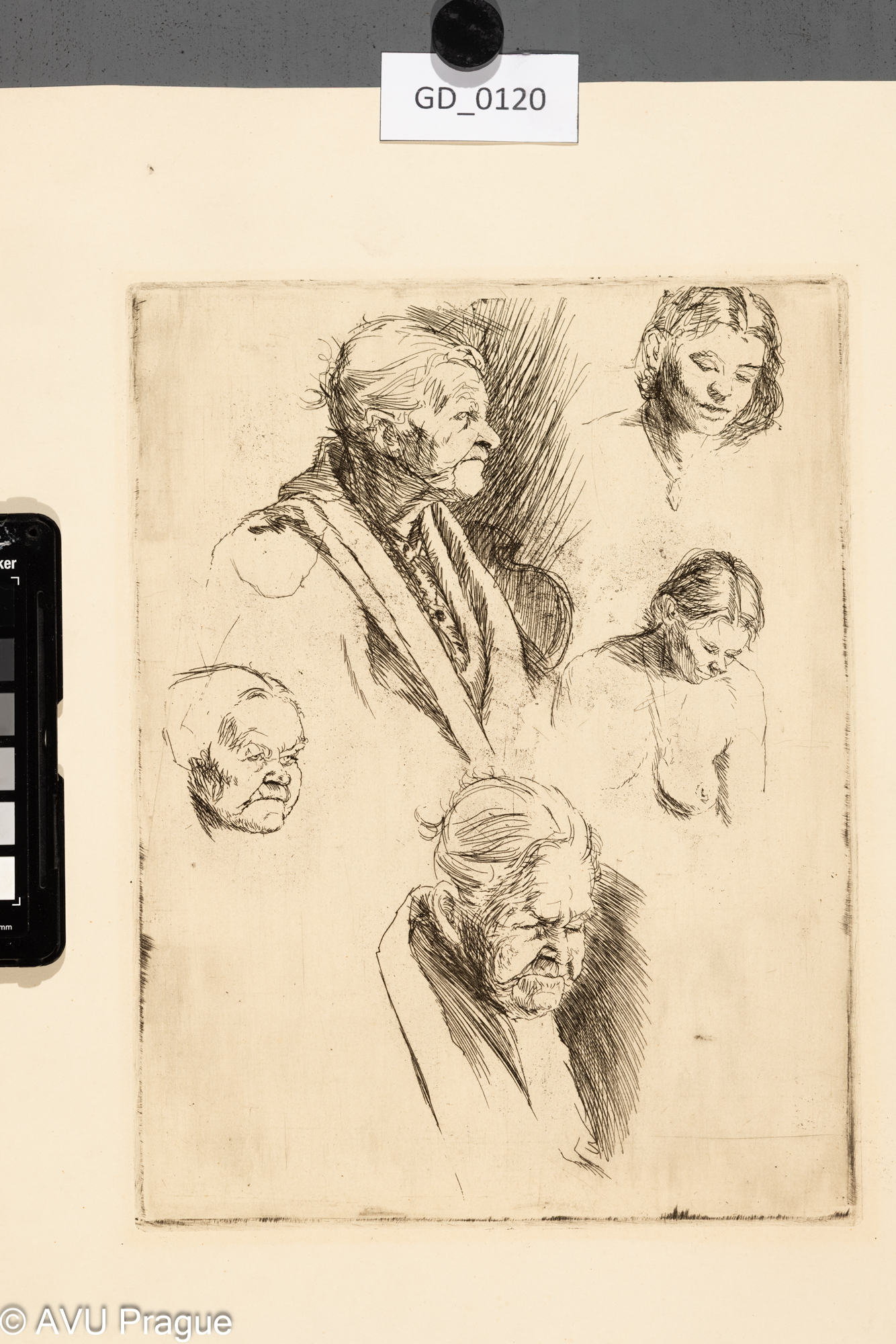 Nezjištěn; 5 x studie ženské hlavyLept; 26,5 x 20,1; 41,4 x 35,1