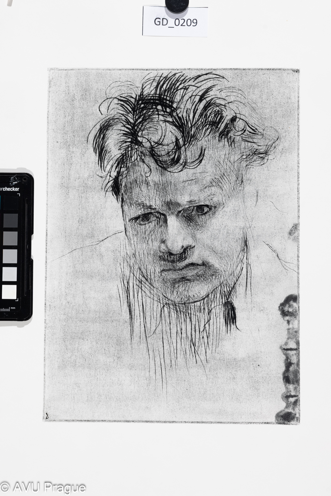 Jiřina Kubínová, Aleš (Hlava muže), Suchá jehla, 30 x 21,5 , 50 x 35,Silovský, novotisk z originální matrice 2023