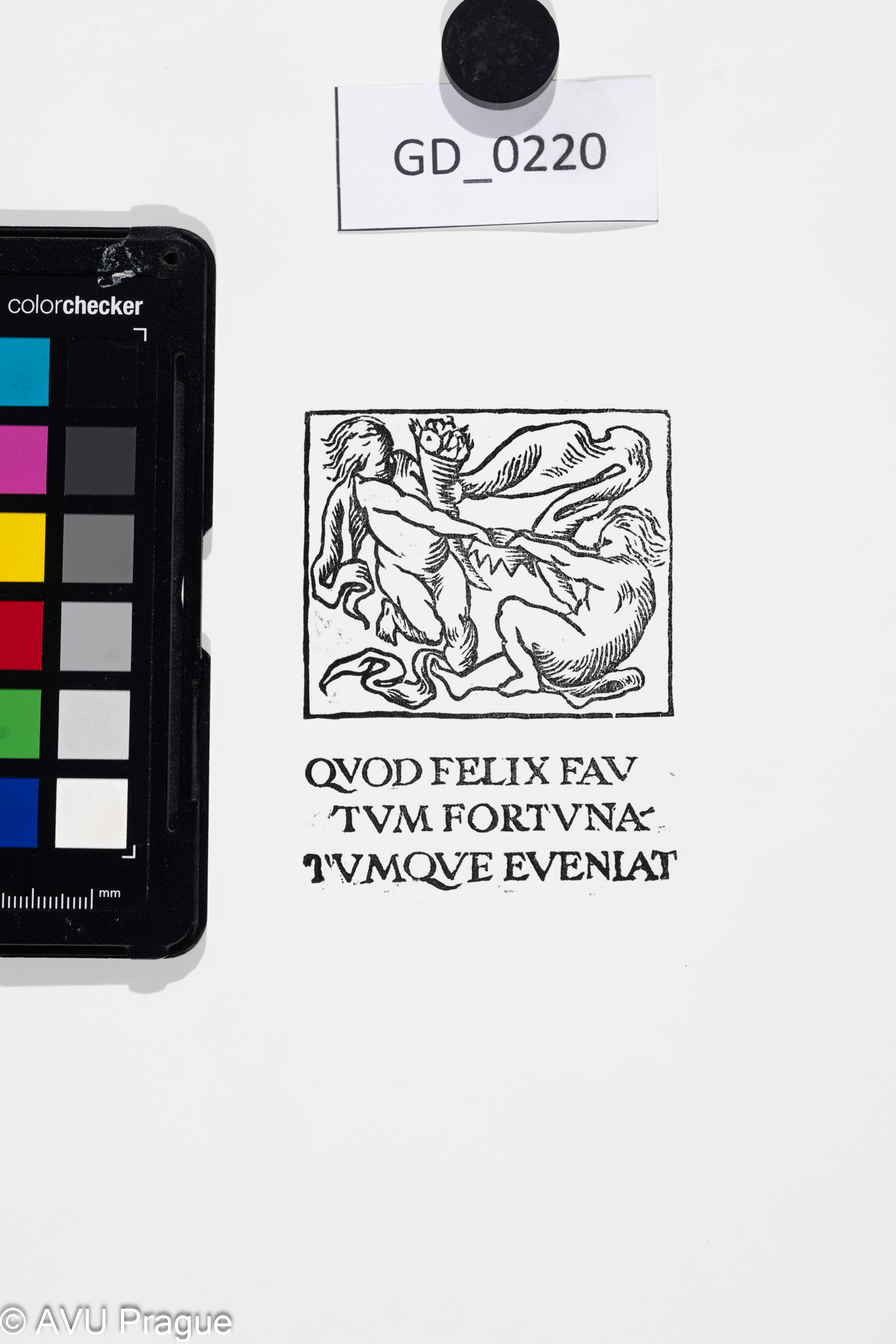 Jiřina Kubínová, Příležitostná grafika, Dřevoryt, 8 x 6,5, 33 x 26,Silovský, novotisk z originální matrice 2023 - nikdy netištěná