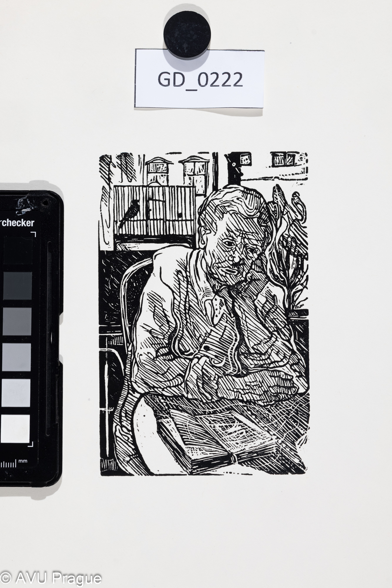 Jiřina Kubínová,Čtenářka (Babička?), Dřevoryt,13,5 x 9,29,7 x 21,Silovský,novotisk z originální matrice 2023 - nikdy netištěná