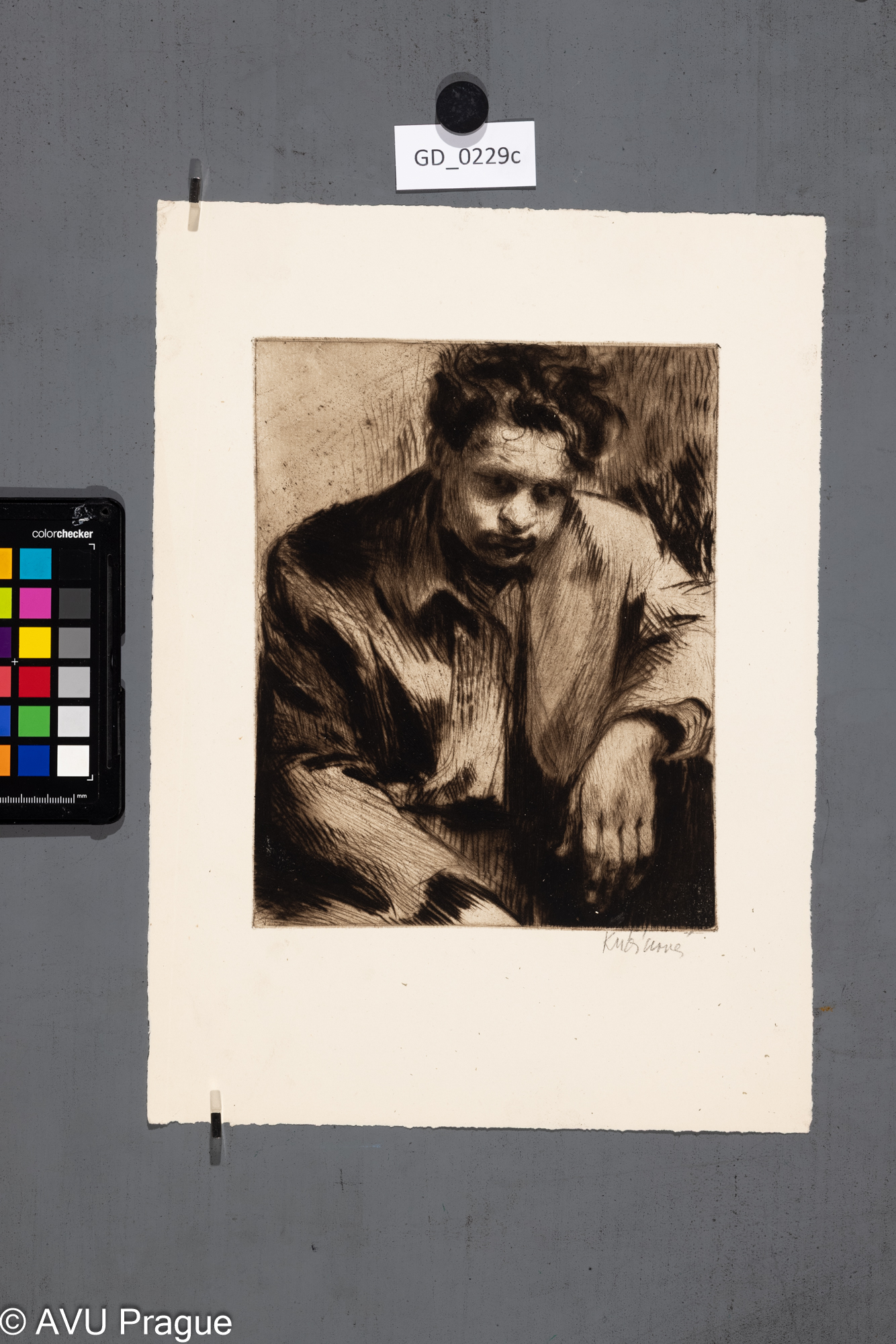 Jiřina KubínováAlešSuchá jehla 22,7 x 17,535,3 x 25,5Silovský