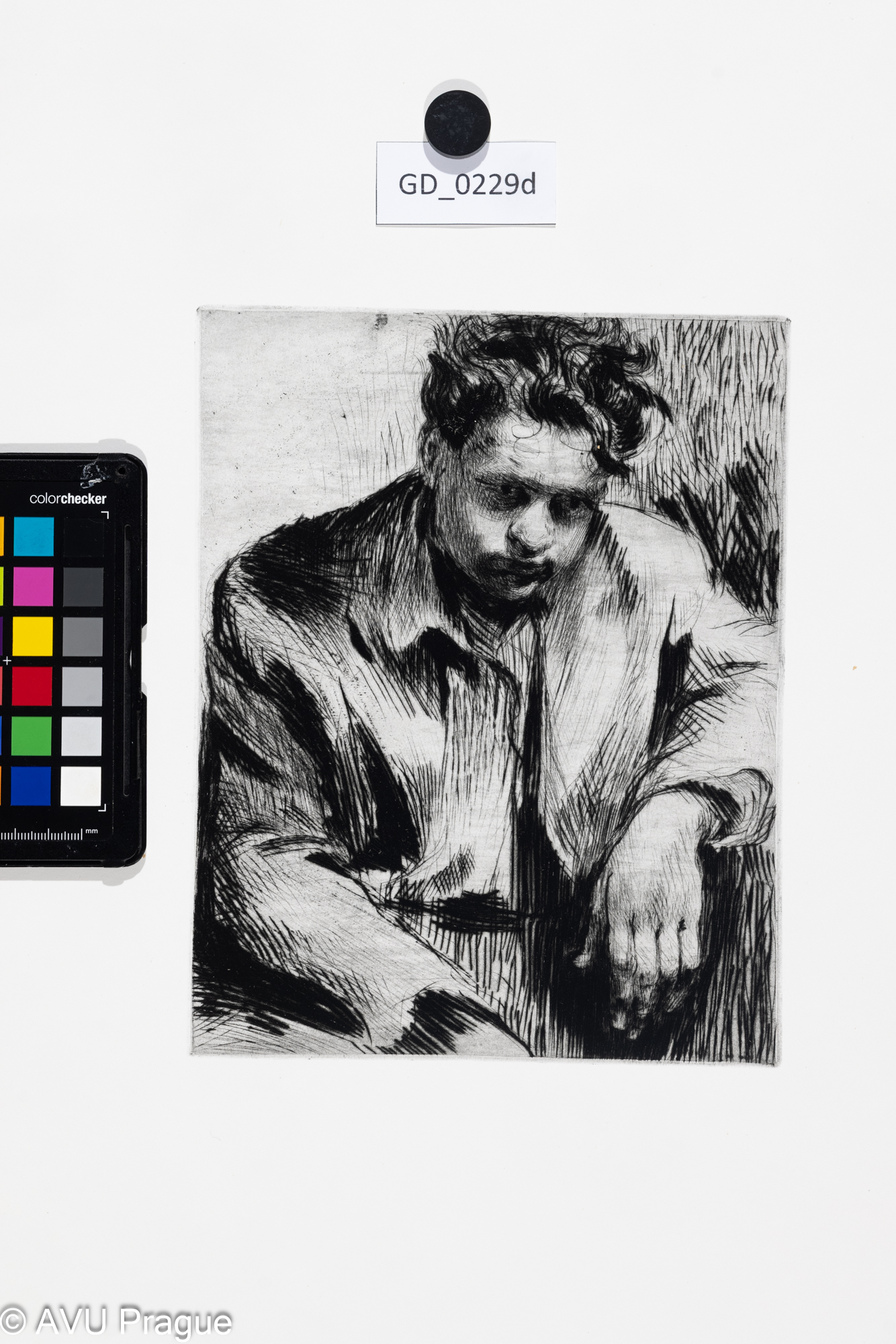 Jiřina KubínováAlešSuchá jehla 22,7 x 17,649,5 x 35,4Silovskýnovotisk z originální matrice 2023