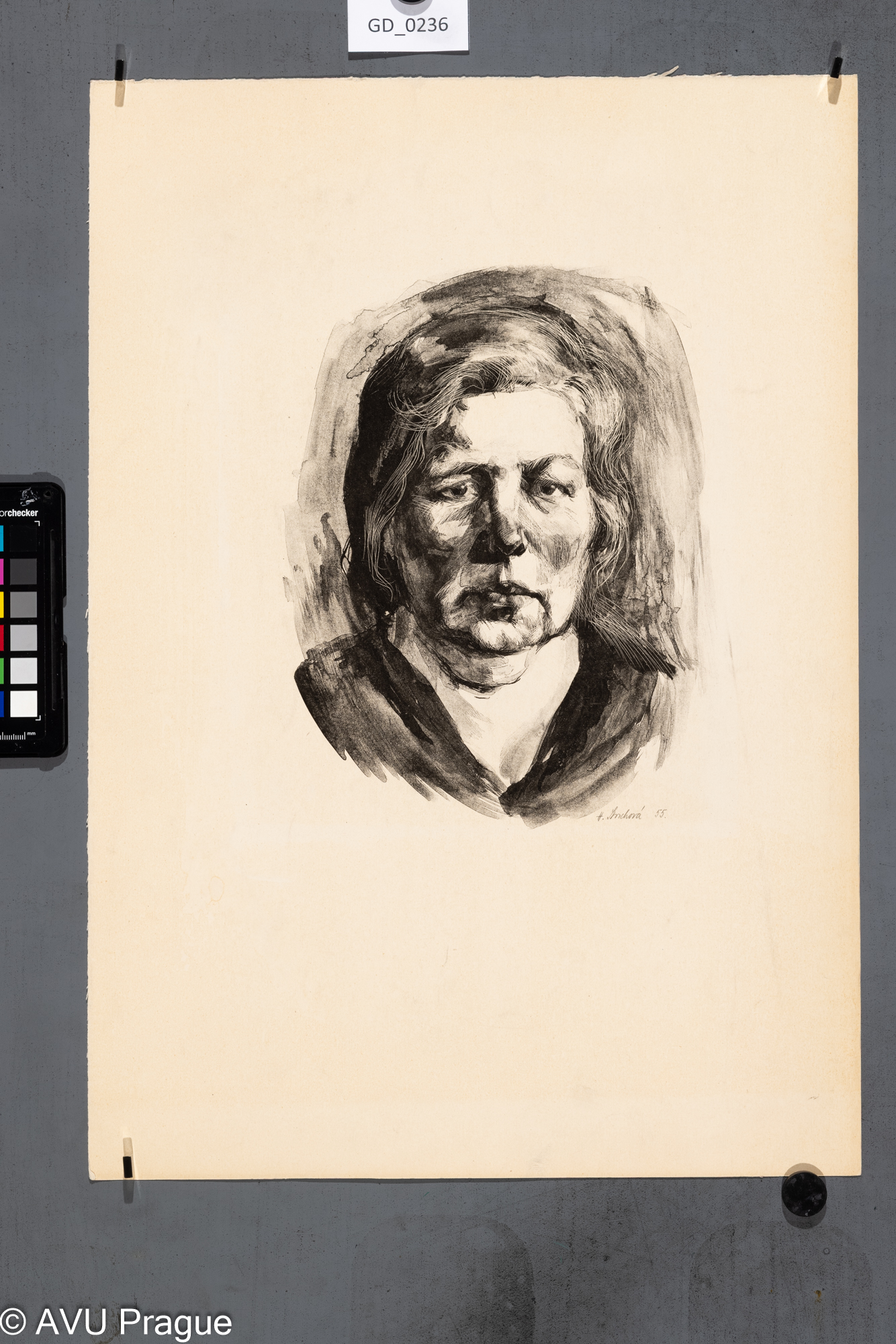 Hana Storchová, Portrét hlava ženy, 1955, Litografie-tuž-škrábaná,  25,5 x 19,5, 50 x 35,Silovský