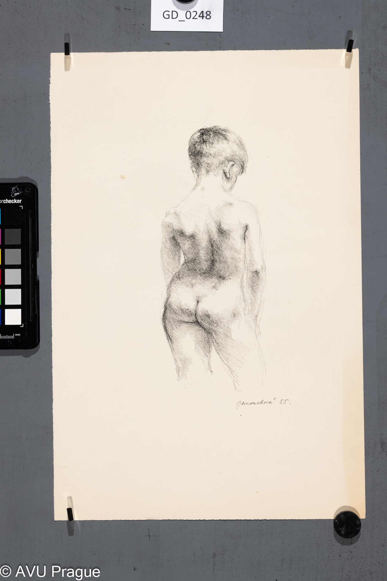 Eva Janouchová, Akt - nahá polo postava chlapce, 1955,Litografie, 20 x 7,5, 35,2 x 23,3,Silovský