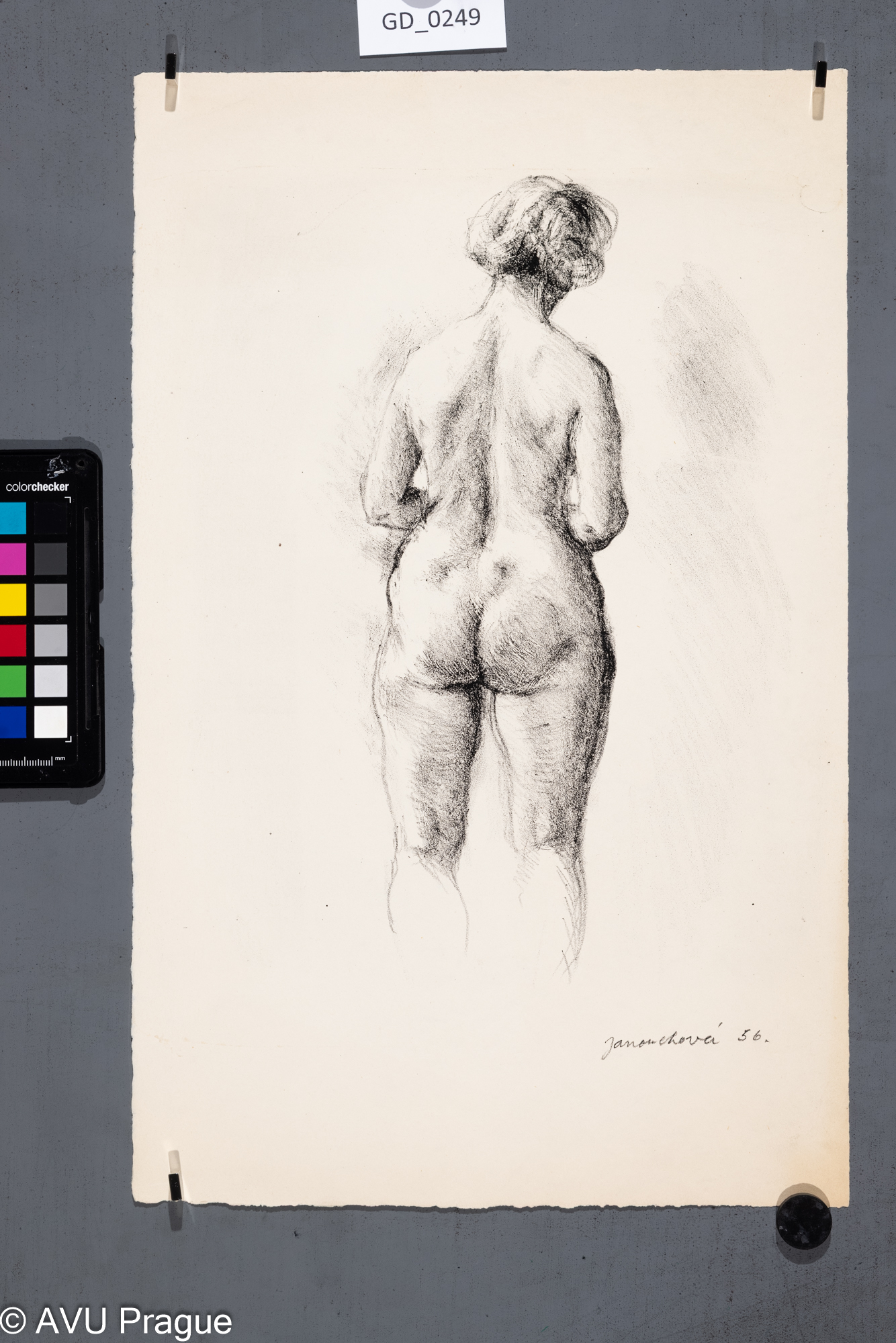 Eva Janouchová, Akt - nahá polo postava ženy, 1956, Litografie,30 x 19, 42 x 26,4, Silovský