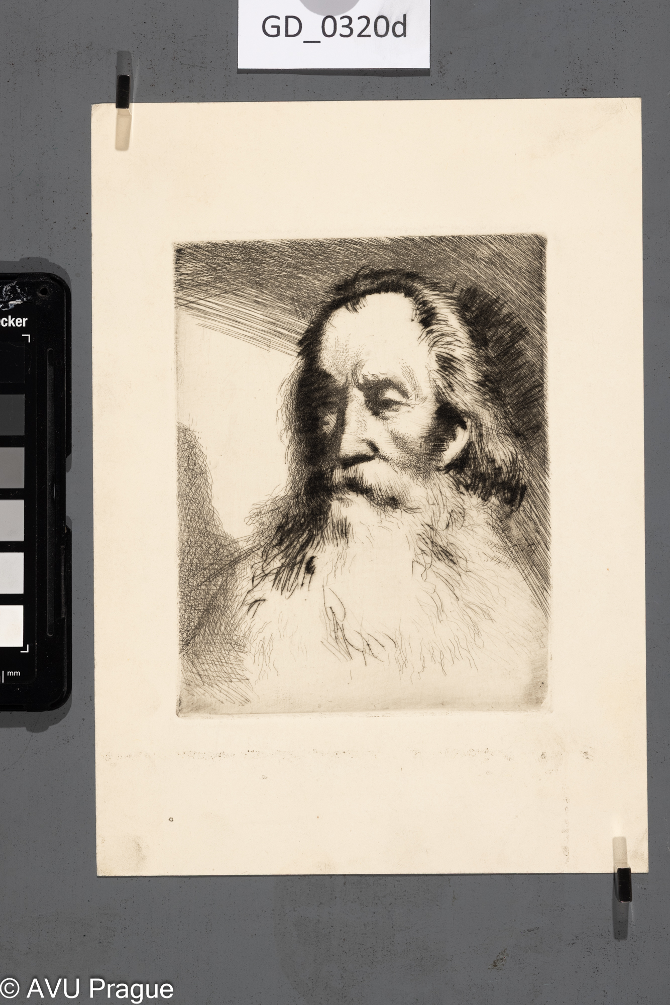 Karel Paták, Hlava starce,Lept / Suchá jehla, 13,6 x 10,9 ,22,1 x 15,7, Pukl