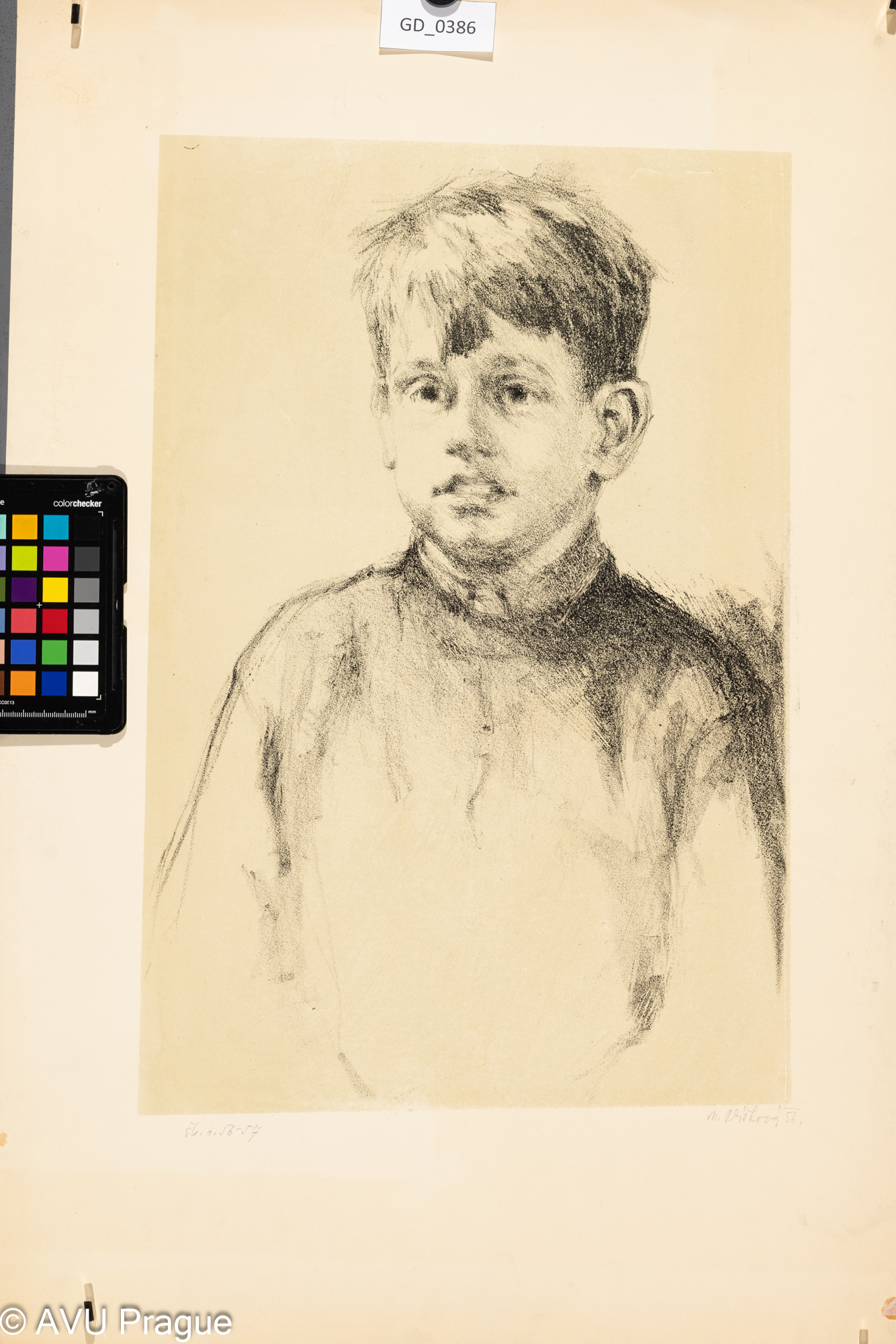 Naděžda Plíšková, Portrét chlapce, 1955-56, Litografie - podtisk, 45,8 x 31,4, 65,8, x 44,9Souček