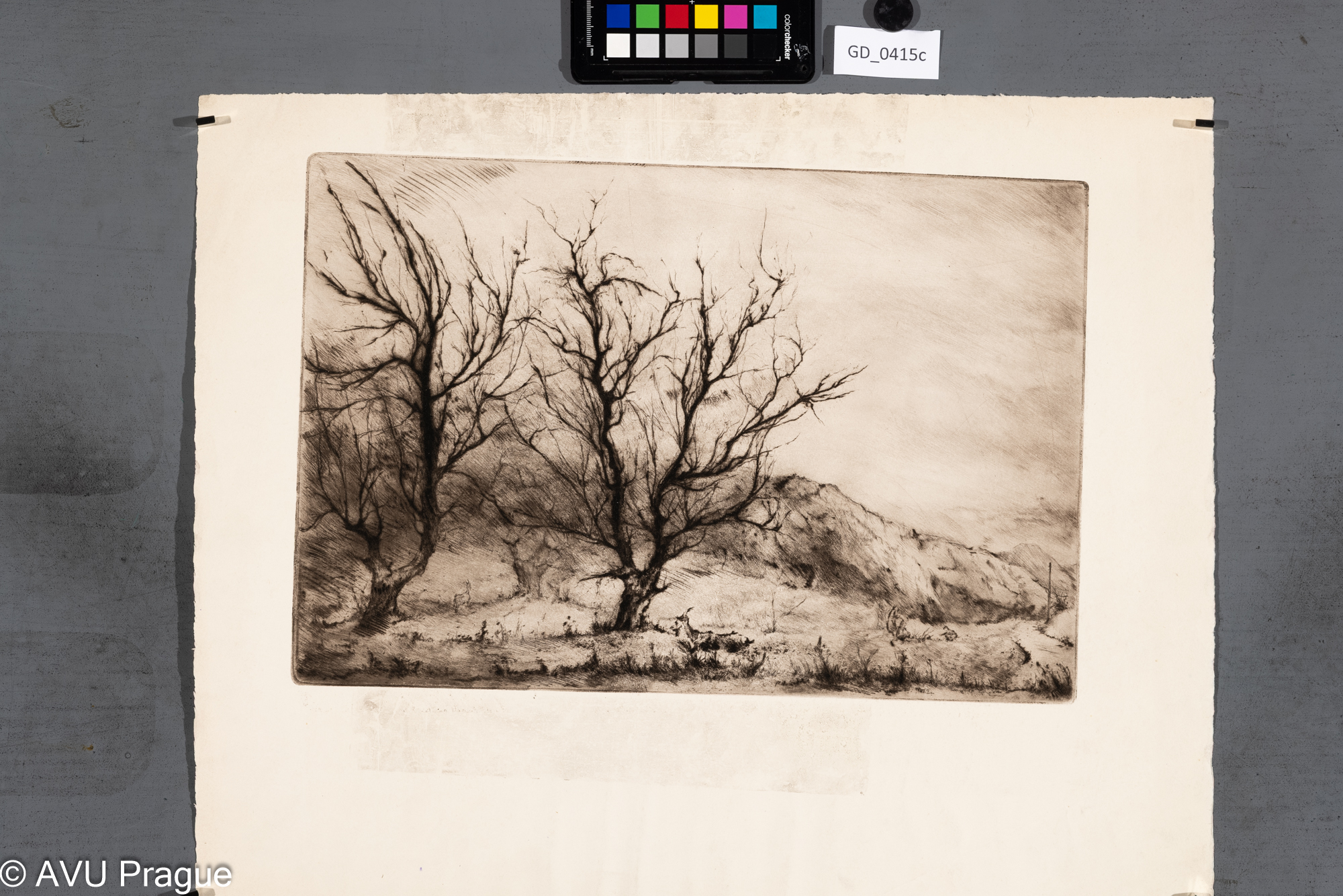 Neurčen, Podzimní krajina s dětmi a kozami, Suchá jehla,27 x 40,2 , 42 x 52