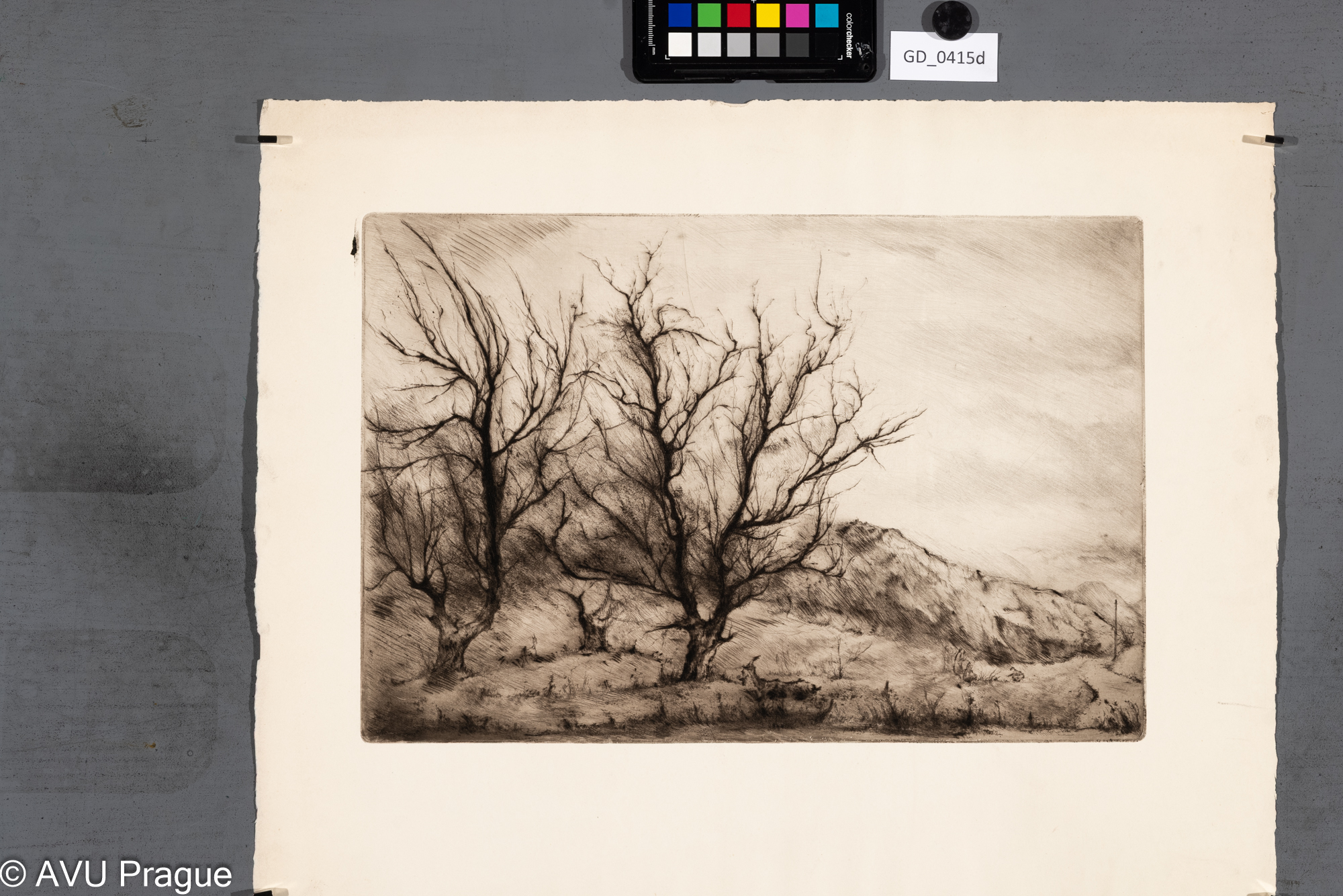 Neurčen, Podzimní krajina s dětmi a kozami, Suchá jehla,27 x 40,2 , 42 x 52