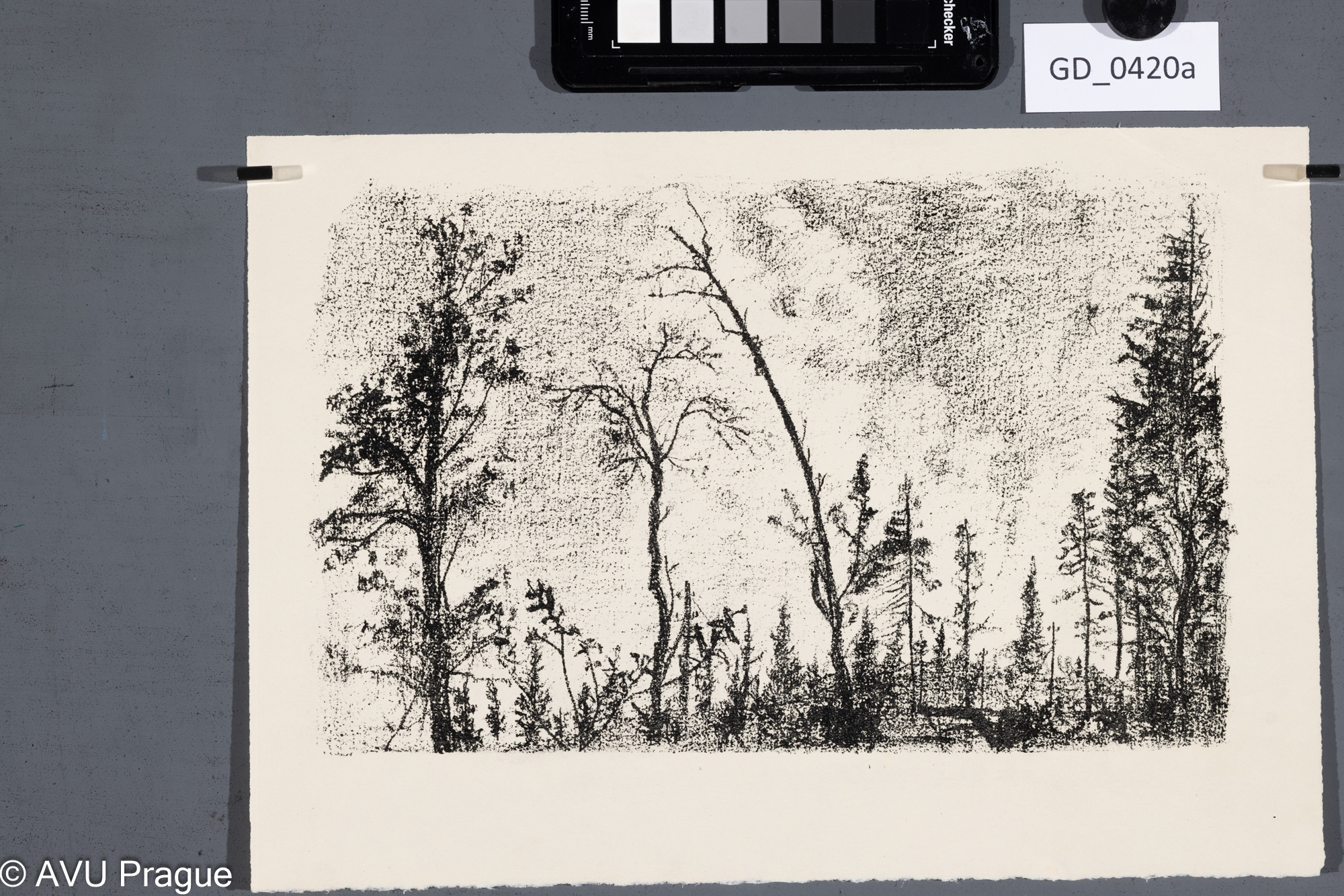 Malý?, Smrky a horizont,Litografie, 16 x 25,8, 21 x 30