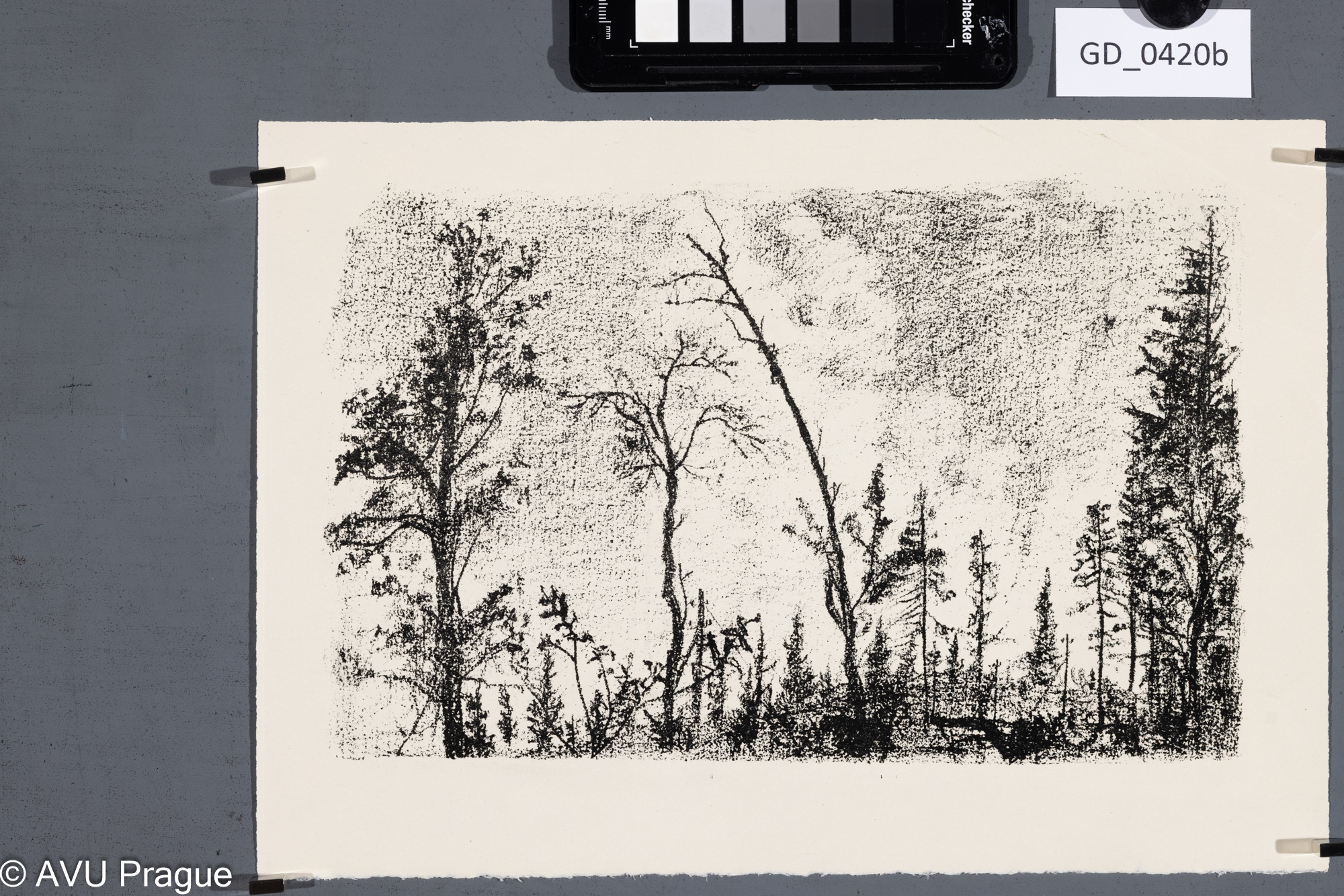 Malý?, Smrky a horizont,Litografie, 16 x 25,8, 21 x 30