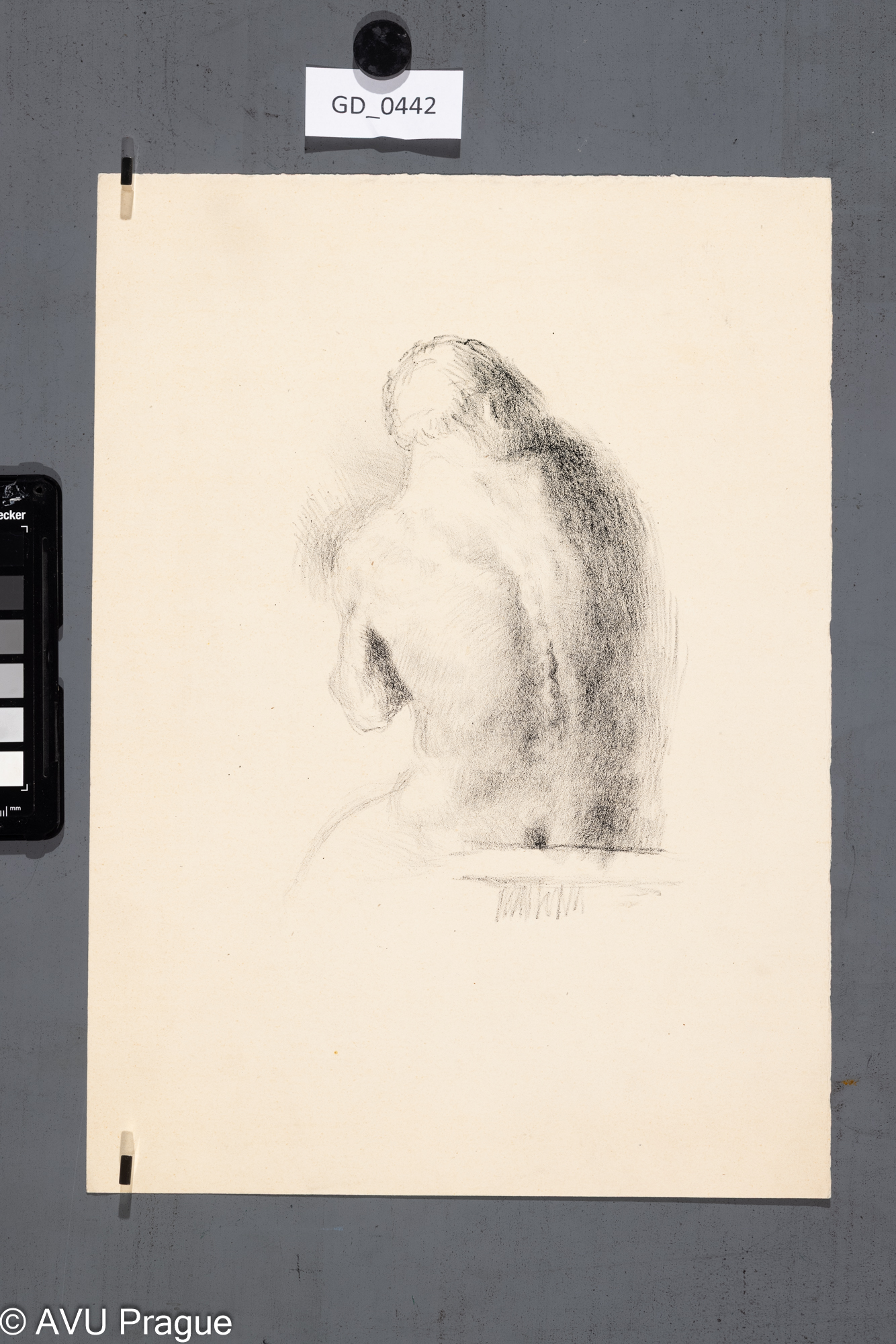 Neurčen, Mužská nahá záda,Litografie, 35 x 25,3