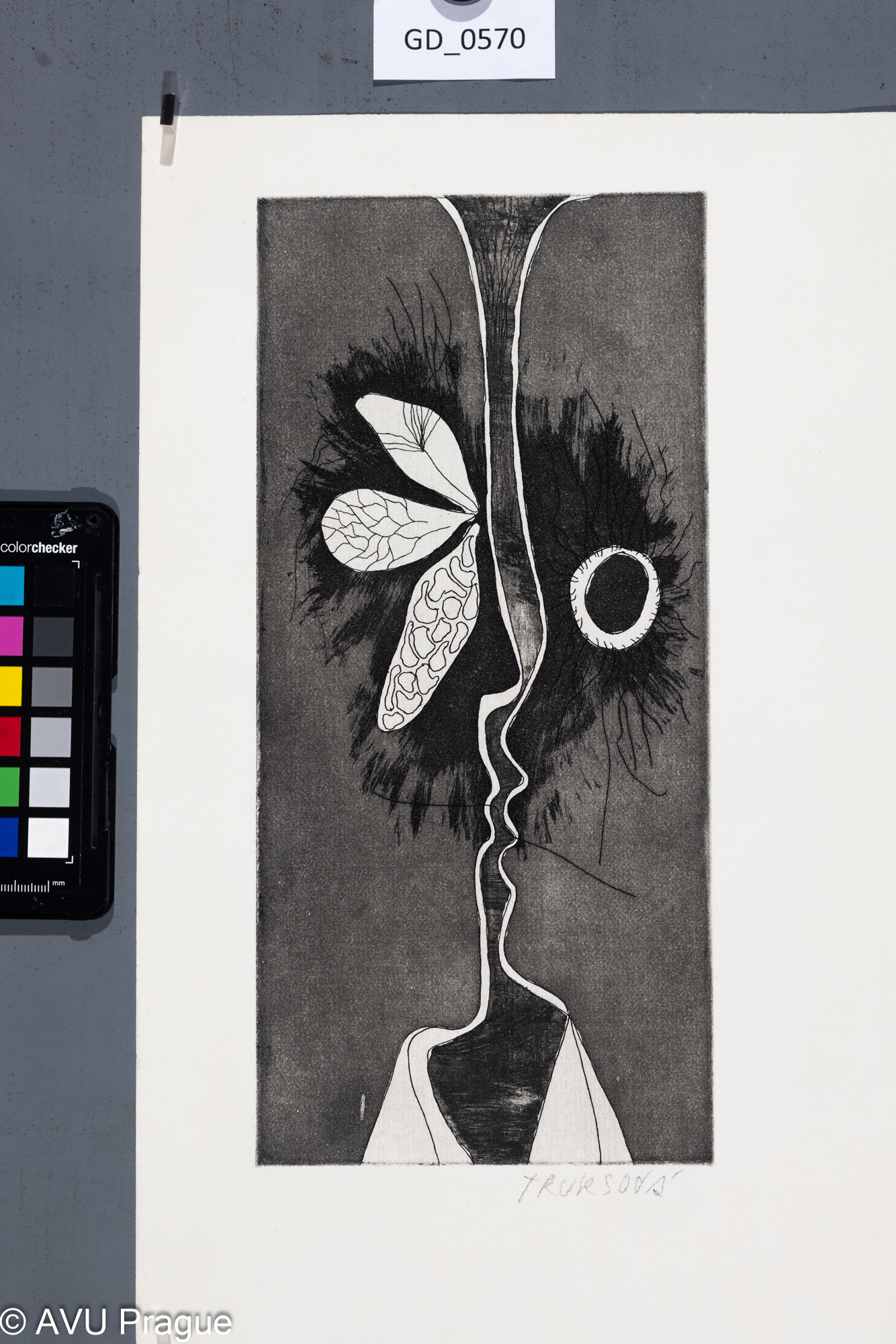 Jana Truksová, Abstrakce florální motiv- ilustrace.profil-libající,Lept / akvatinta, 29 x 13,5,37,9 x 50, Čepelák