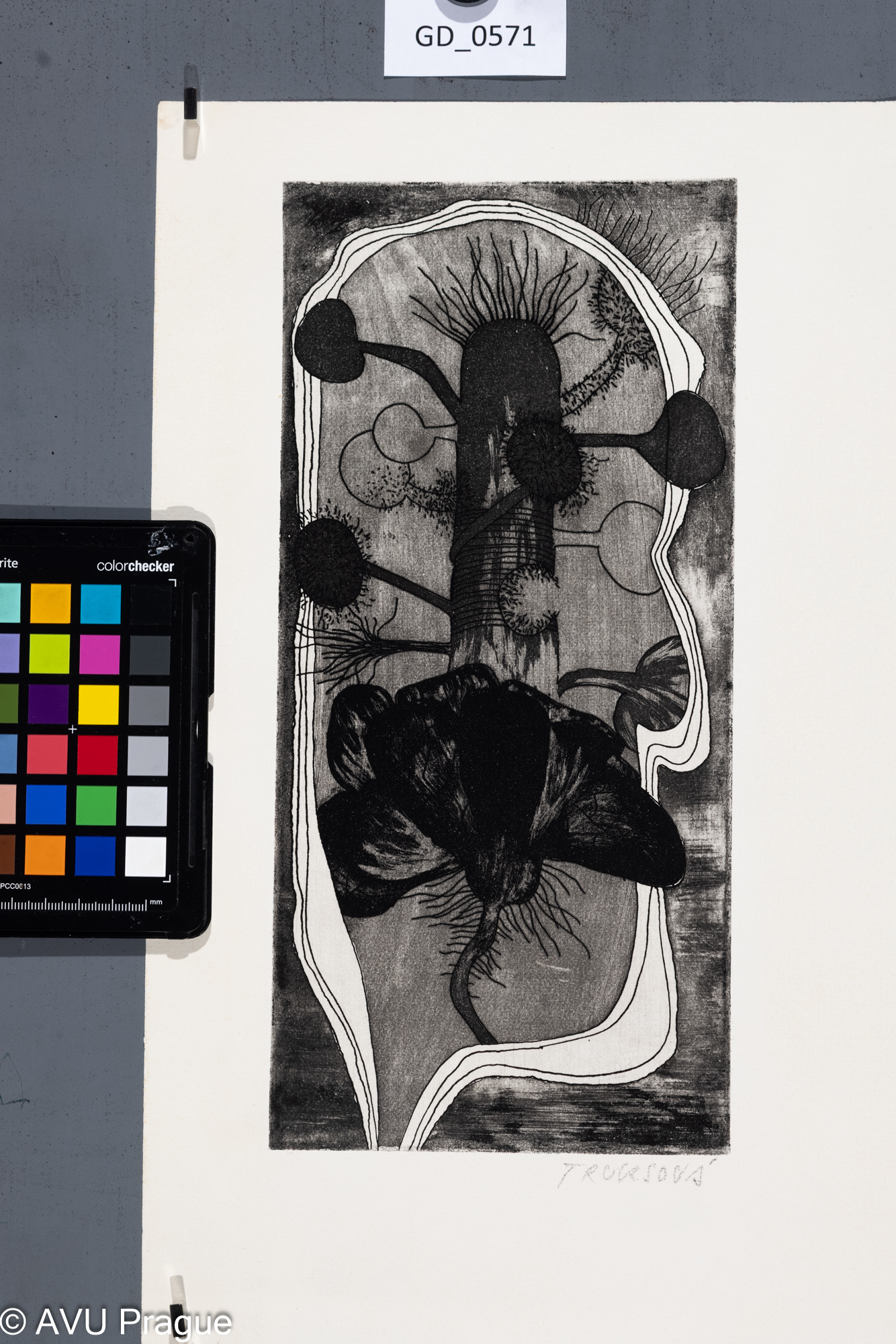 Jana Truksová, Abstrakce florální motiv- ilustrace, Lept / akvatinta,29 x 13,5, 37,5 x 50, Čepelák