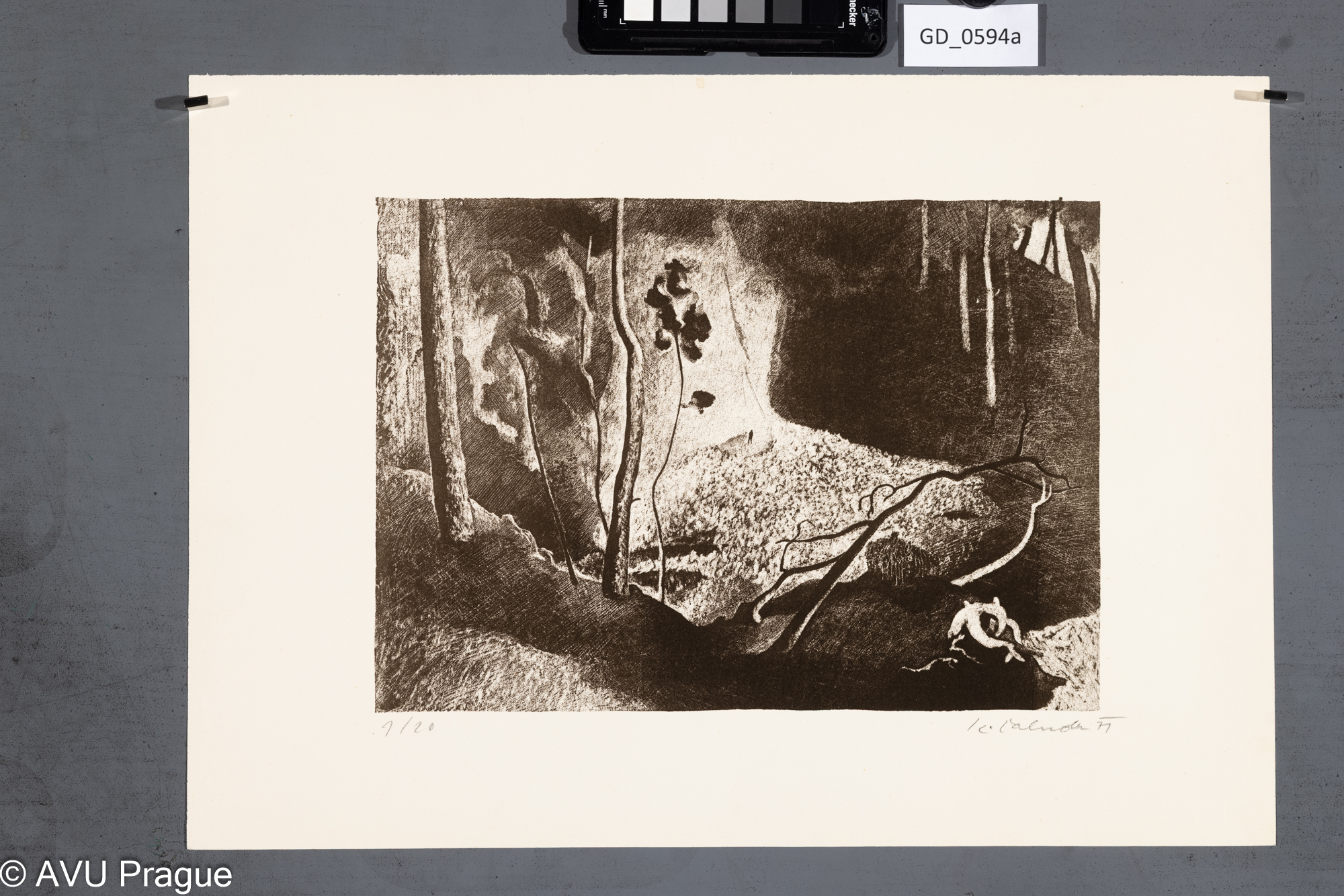 Karel Žaluda, Maxim Gorkij Danko - Ilustrace - dvojice v lese, 1971, Litografie - škrábaná,20,3 x 29,3, 31,3 x 44, Čepelák