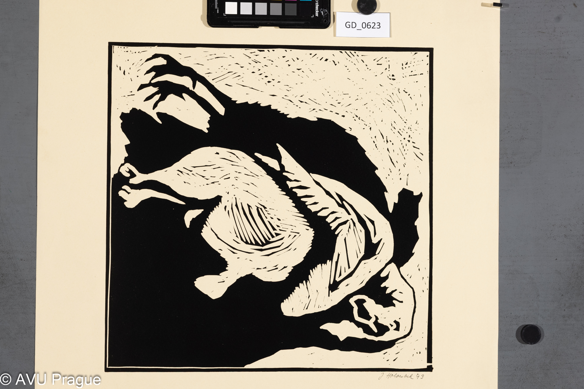 Jan Holoubek, Slepice, 1973,Linoryt, 33 x 33, 51,8 x 46,7,Čepelák