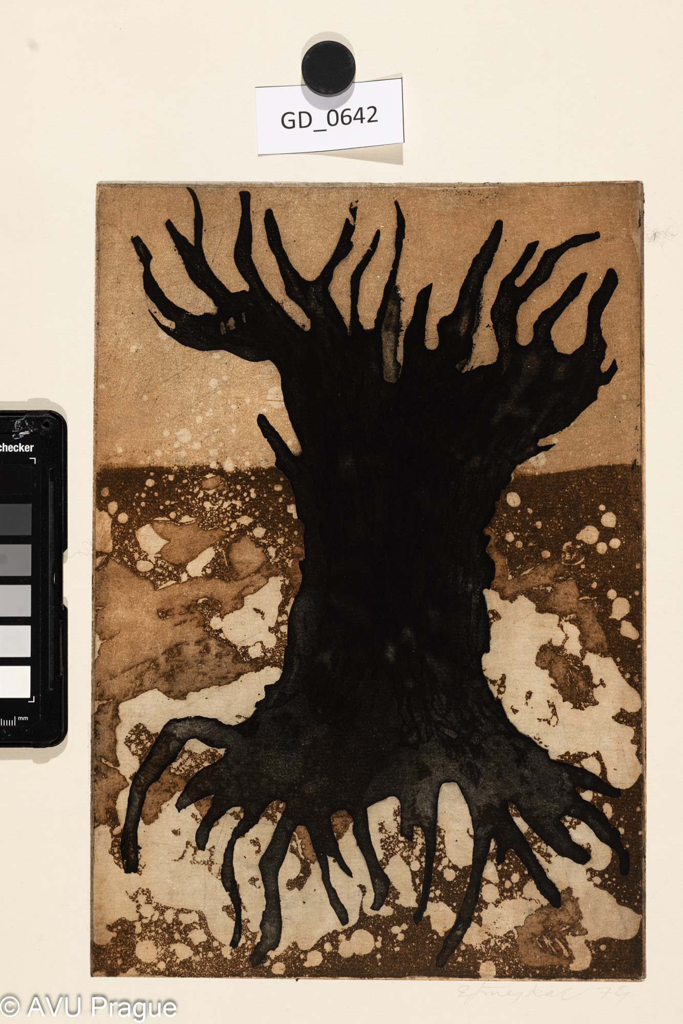 Emil Šmejkal, Pařez? - diplom,1974, Akvatinta - dvě desky,29,5 x 20,5 , 48,2 x 38,4, Čepelák