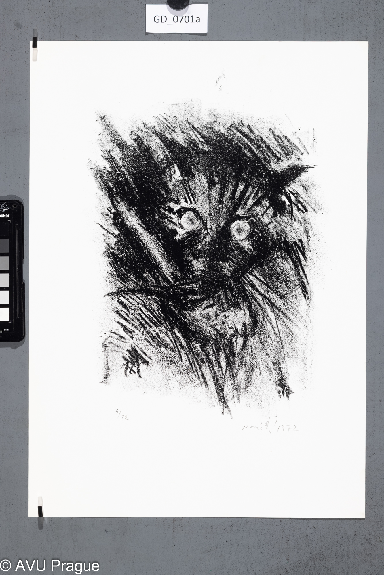 Zuzana Nováčková, Kočka, 1972,Litografie, 27,6 x 21, 42 x 29,6,Čepelák