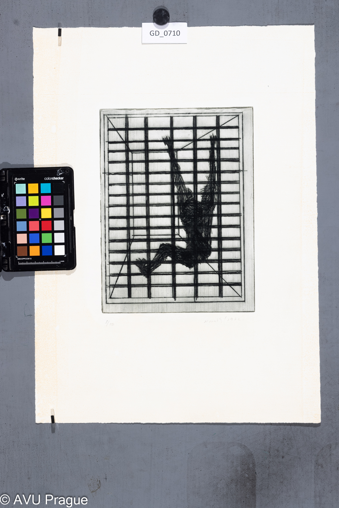 Zuzana Nováčková, Opice za mřížemi, 1972, Suchá jehla,24,7 x 18,4, 47,9 x 34,3, Čepelák