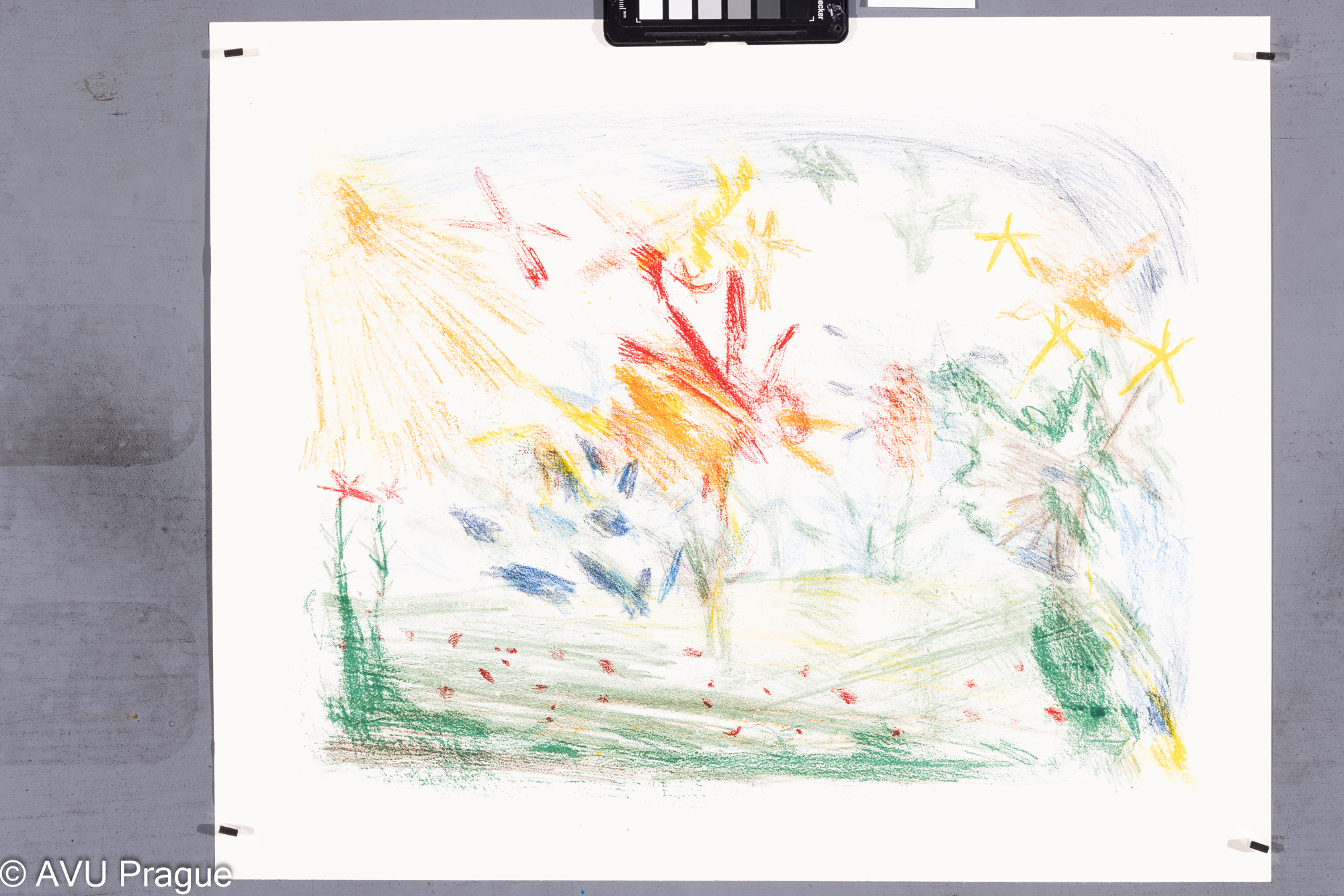 Zuzana Nováčková, Na louce, Litografie 4 barvy , 37 x 45,5, 44 x 54,2, Čepelák