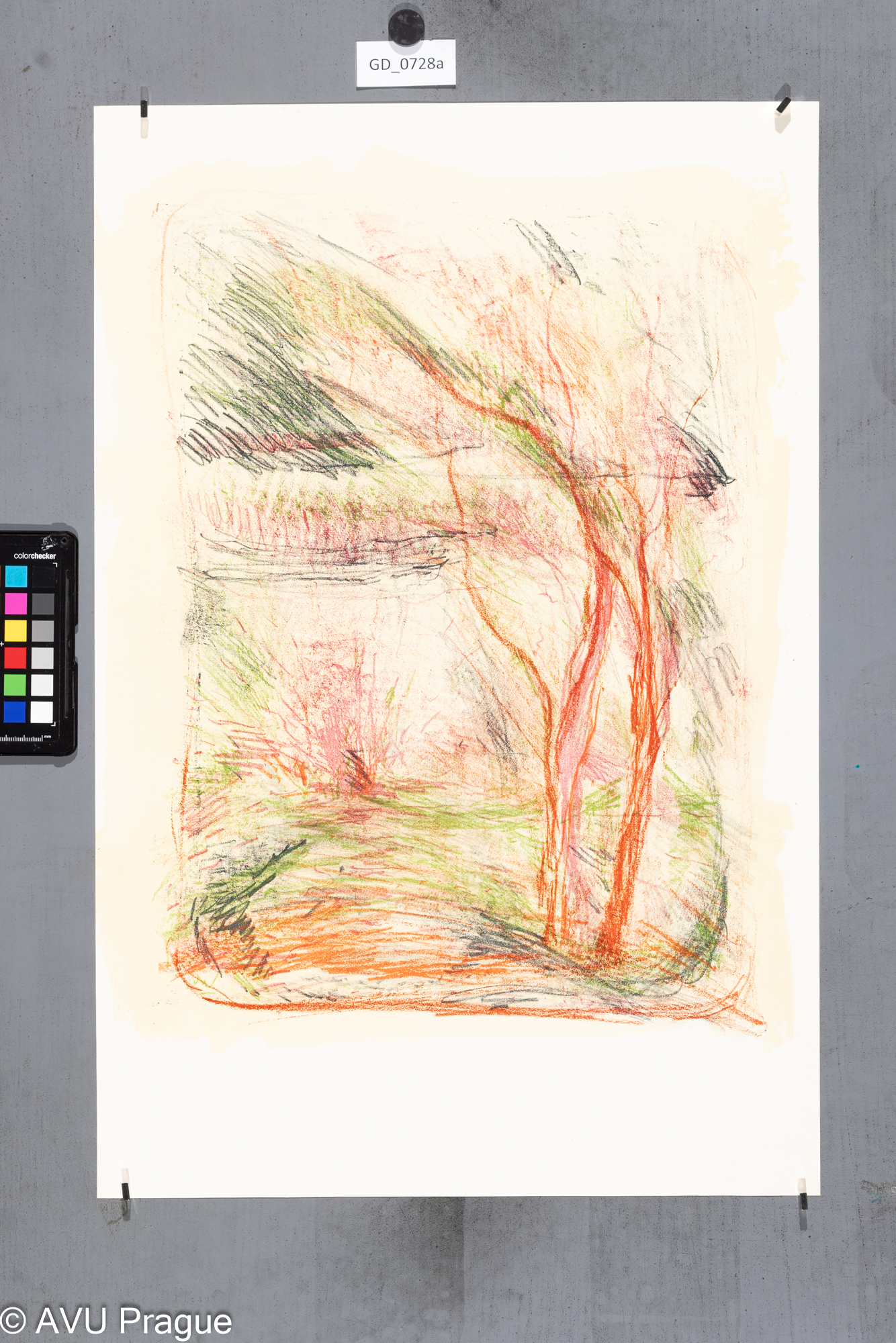 Zuzana Nováčková , Strom,Litografie 3 barvy - podtisk,50,4 x 38,5, 60,8 x 40, Čepelák