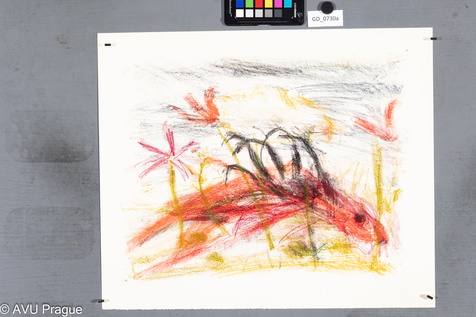 Zuzana Nováčková, Červený drak,Litografie 3 barvy, 36 x 45, 43,5 x 52, Čepelák