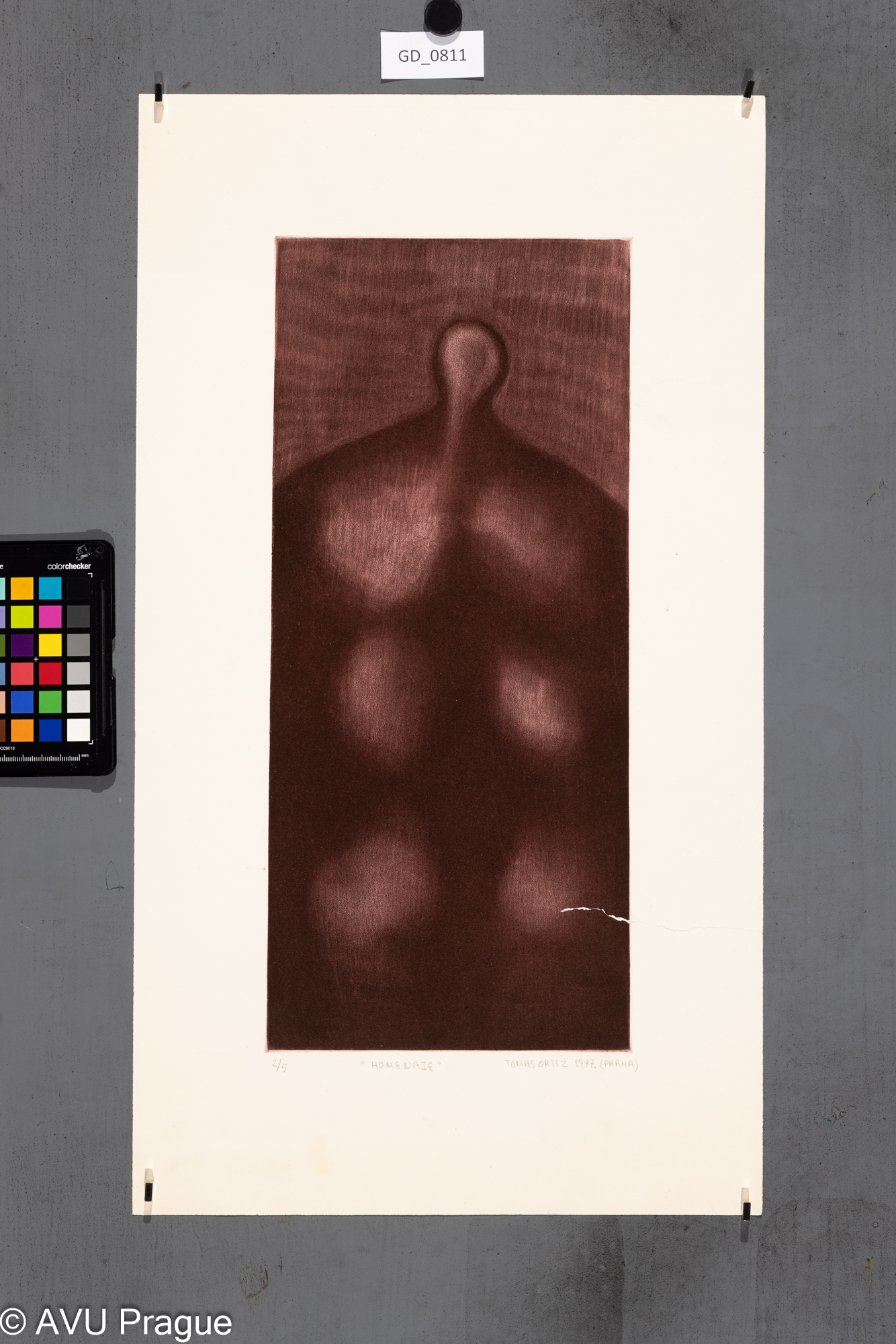 Tomas Ortiz, Hold, 1977, Škrábaná akvatinta, 43,5 x 19, 59,4 x 33,2,
Čepelák (zahraniční stážista)