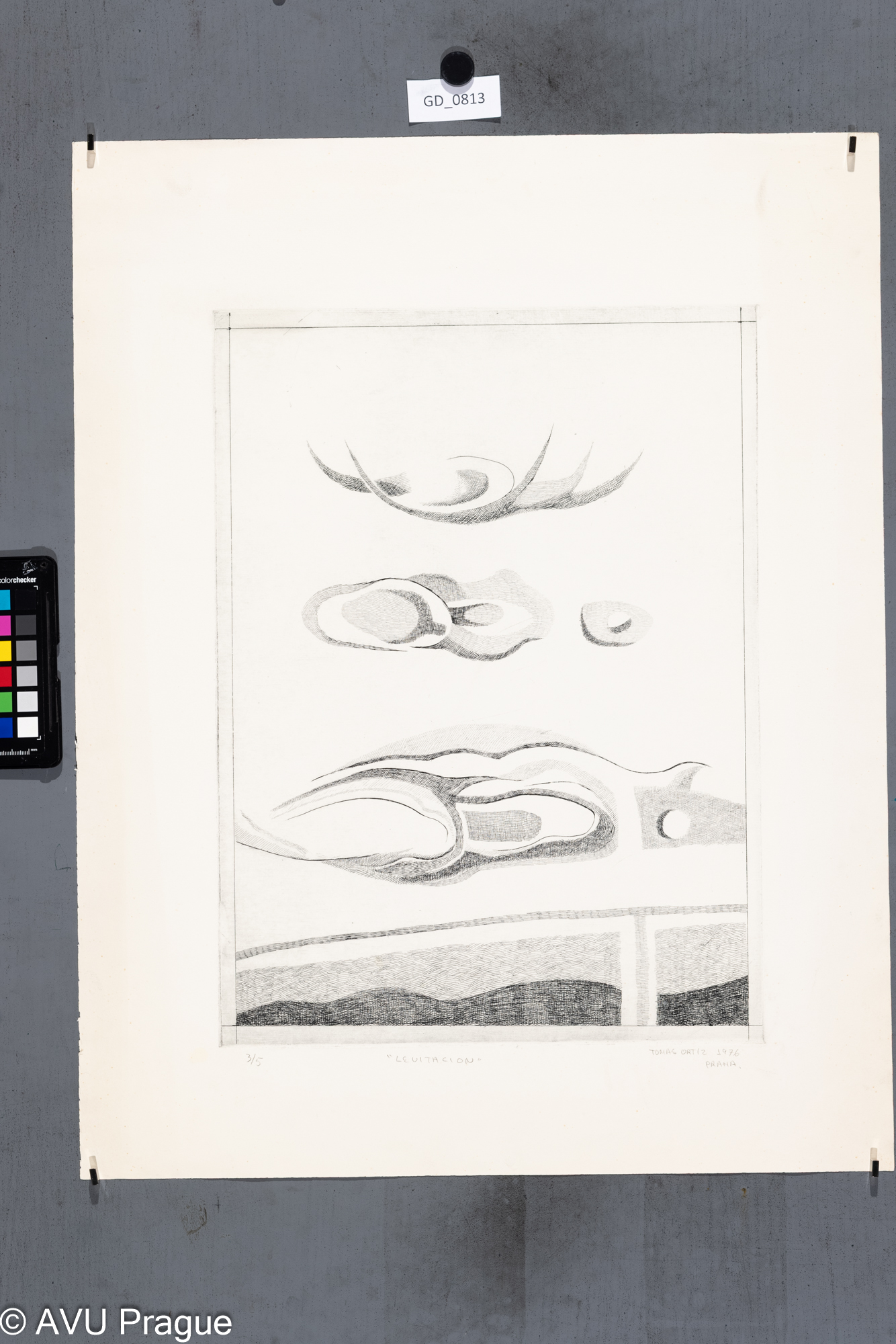 Tomas Ortiz, Levitace, 1976,Lept, 43,7 x 32, 61,2 x 48, 
Čepelák (zahraniční stážista)