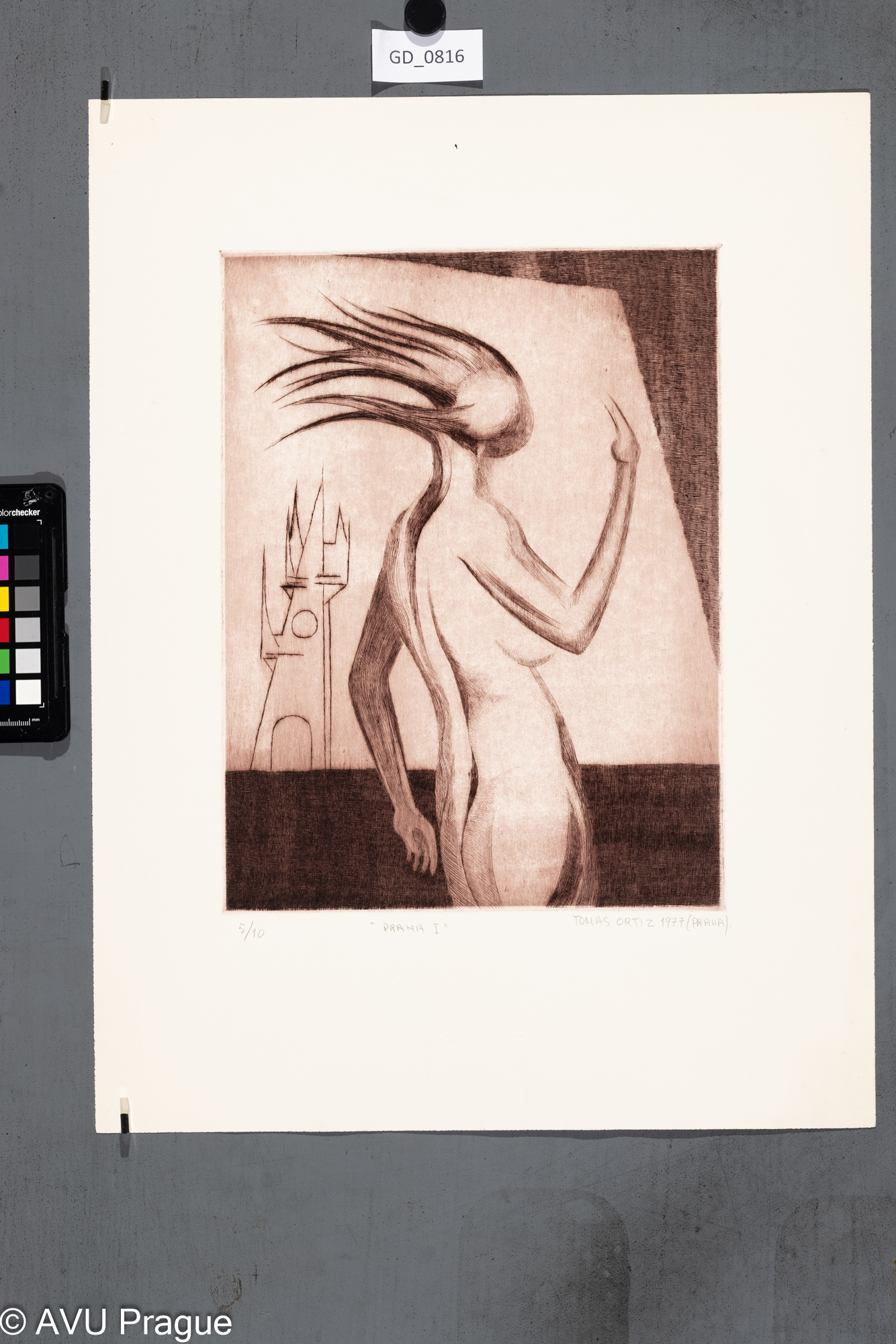 Tomas Ortiz, Praha I., 1977, Suchá jehla, 32 x 24,3, 50,1 x 37,8,
Čepelák (zahraniční stážista)