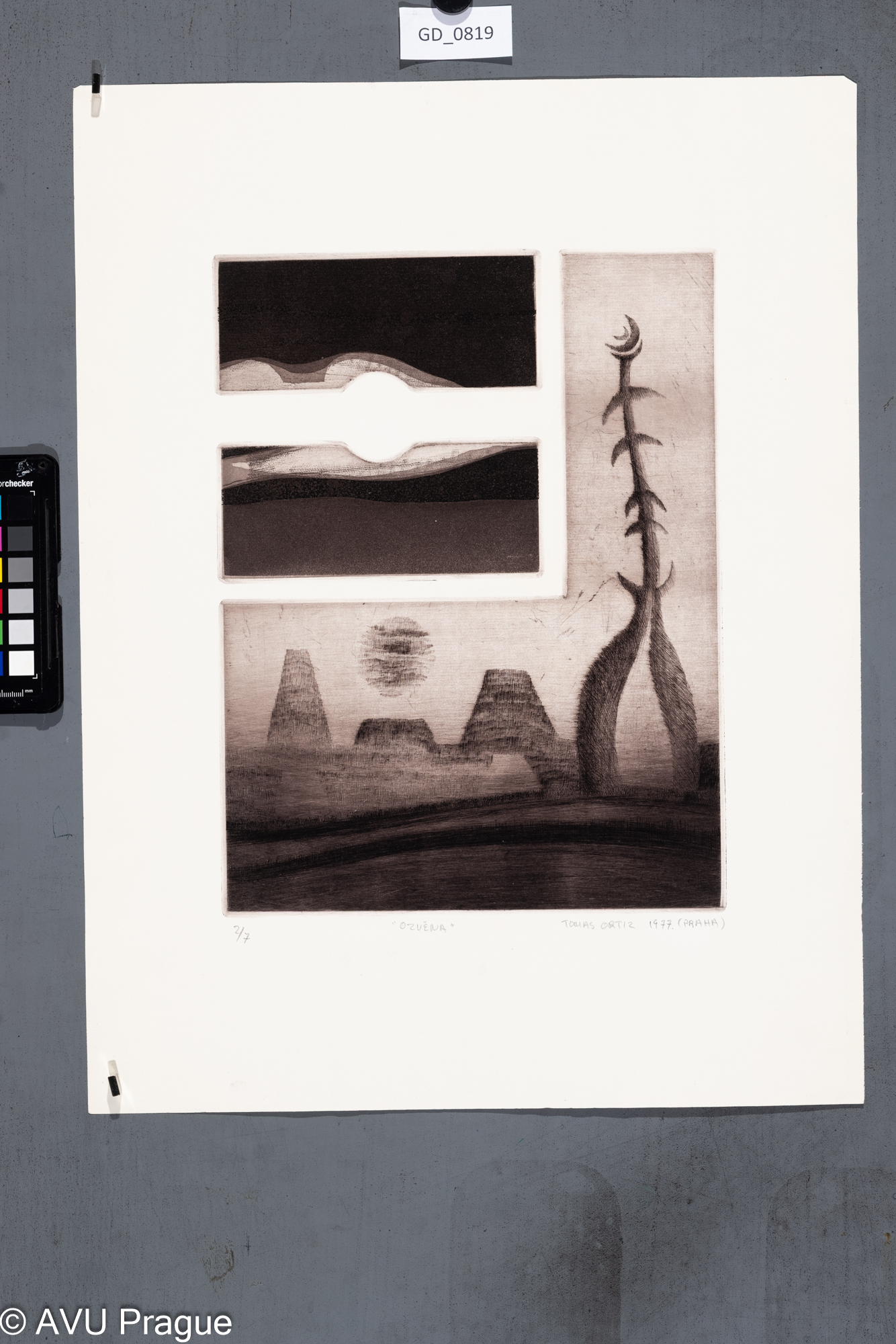 Tomas Ortiz, Ozvěna, 1977, Akvatinta, suchá jehla, 32 x 24,4,49,8 x 37,7, 
Čepelák (zahraniční stážista)