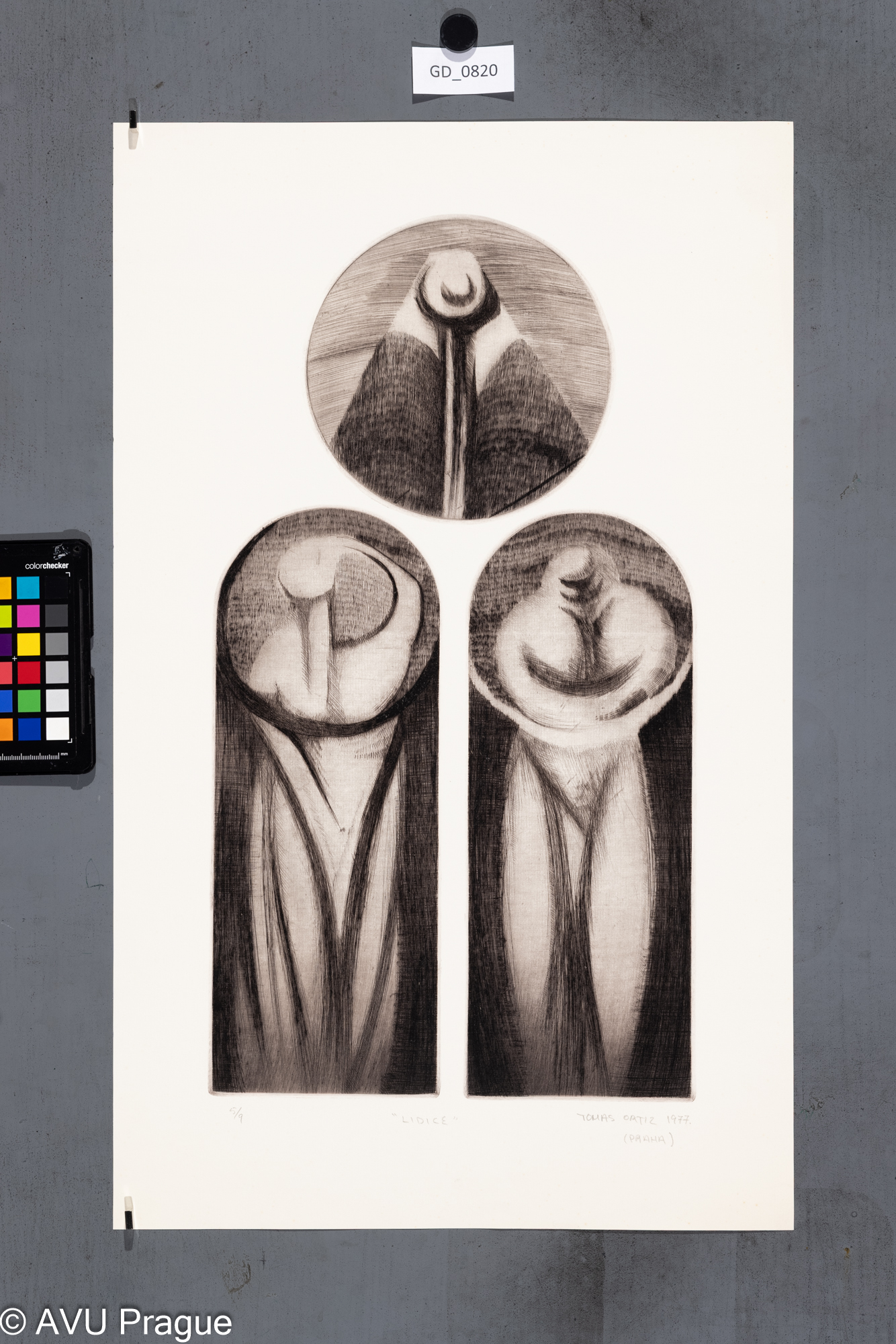 Tomas Ortiz, Lidice, 1977, Suchá jehla, 47,2 x 25,3, 59 x 36,2, 
Čepelák (zahraniční stážista)