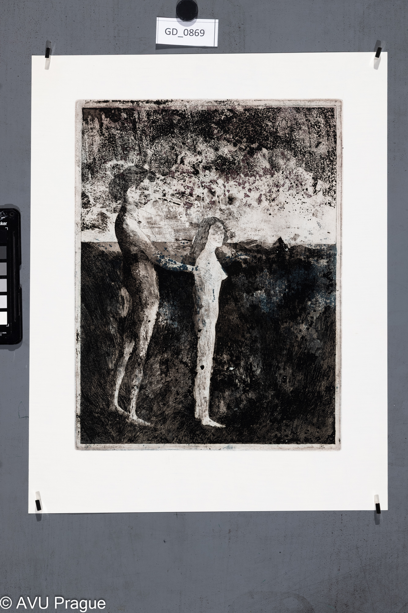 Neurčeno, Dvojice, Lept / akvatinta - barevná - dvě matrice, 32,2 x 24,6, 42 x 33,