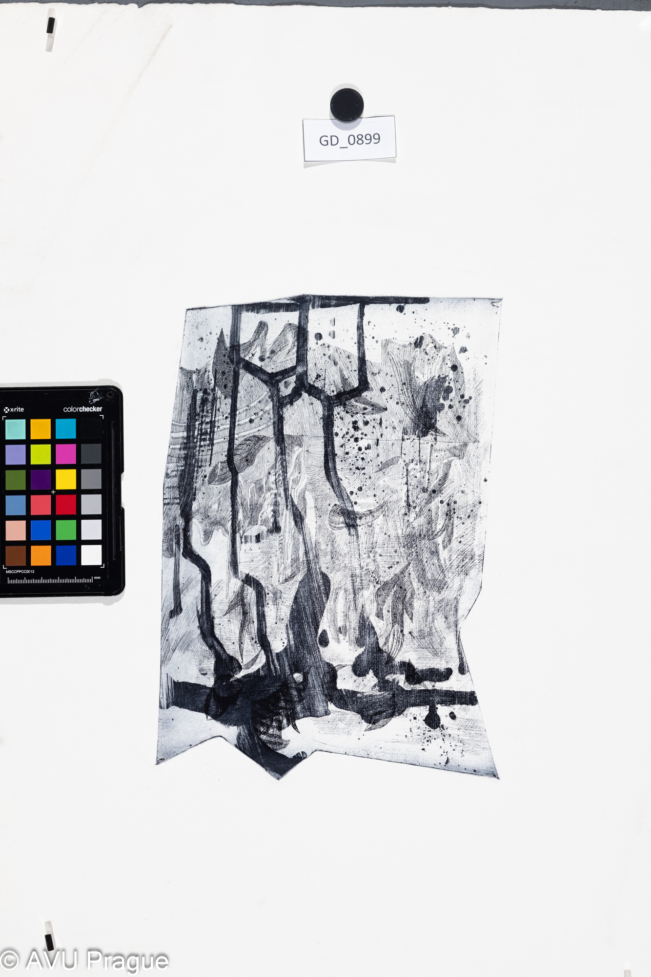 nezjištěno, ilustrace - atyp matrice,  Lept,29 x 19, 58,5 x 42