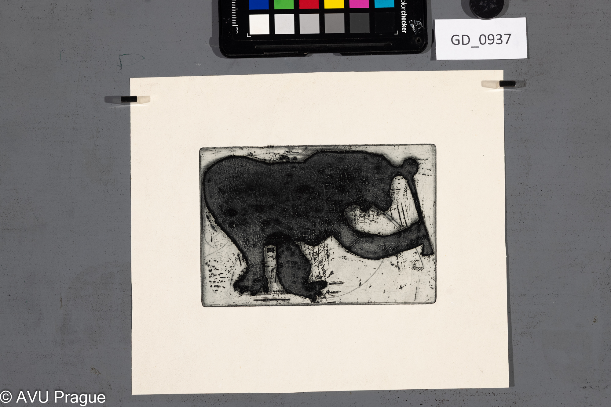 nezjištěno, Zvíře - abstrakce,Lept / akvatinta, 9,4 x 14, 19 x 24,4