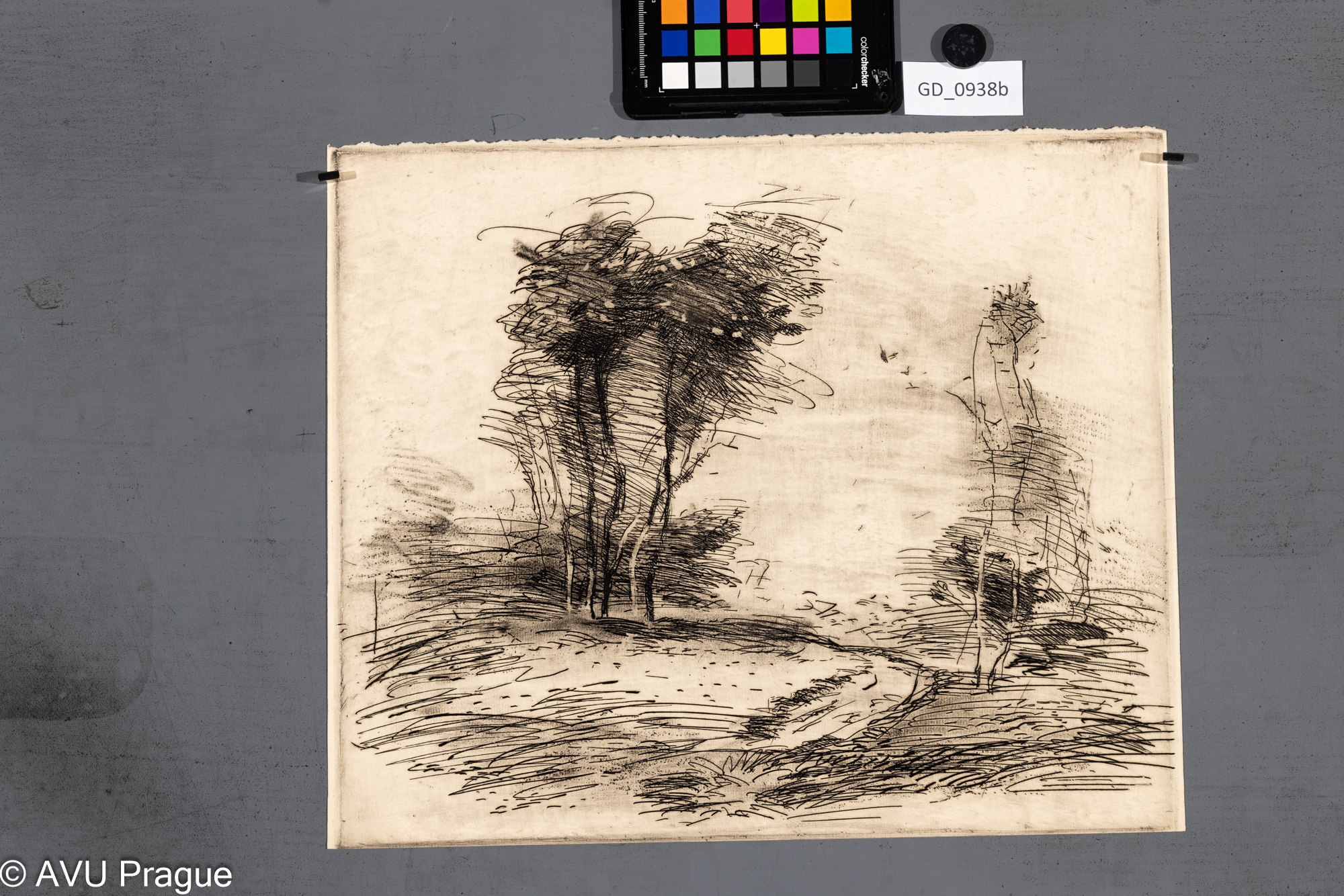 nezjištěno, Cesta se stromy,Lept, 32 x 38, 32 x 38,8,na zadní straně kresba portrétu - částečně smazána