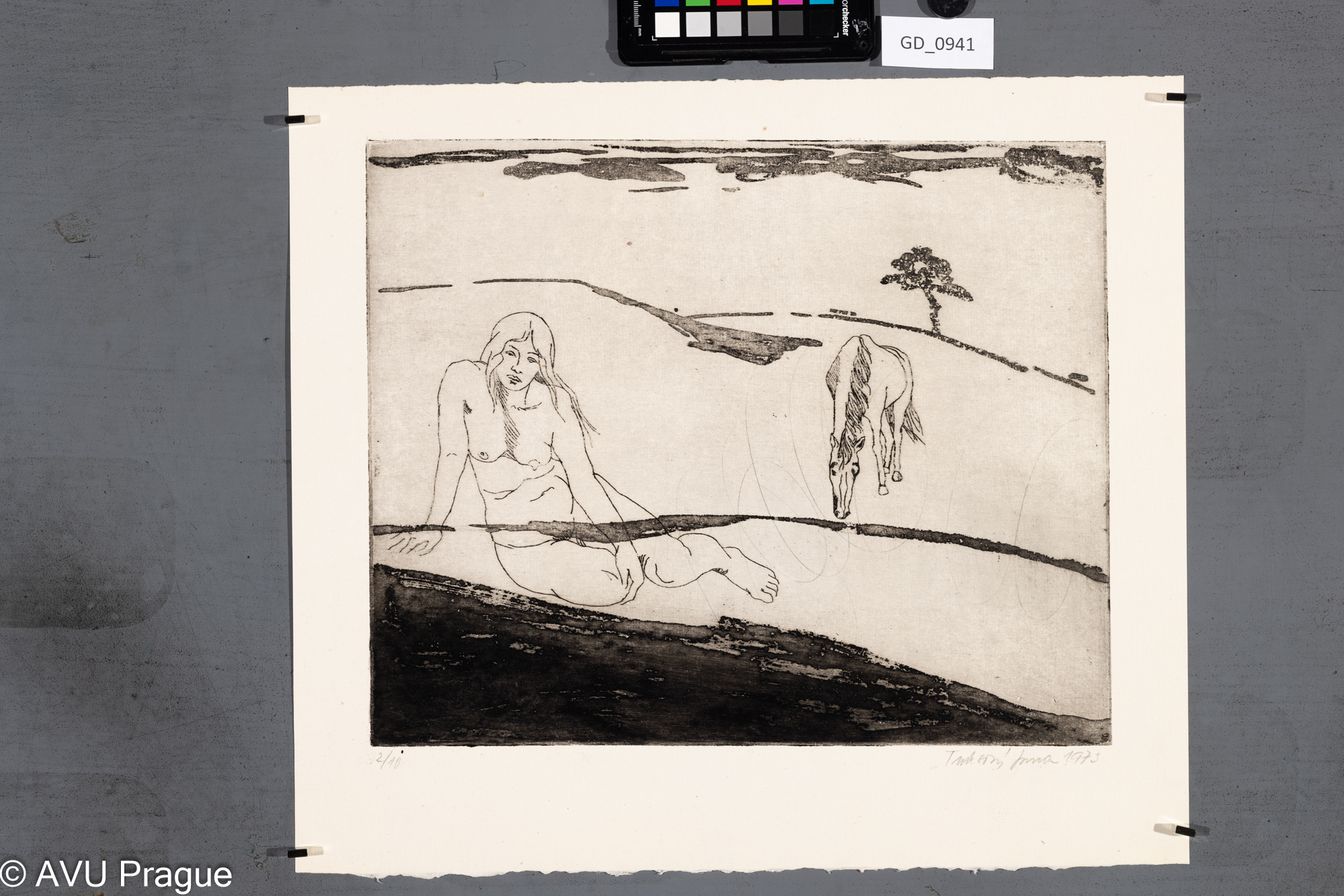 Jana Truksová, Dívka a kůň,1975, Lept, 29,5 x 36, 38,3 x 43,4, Čepelák