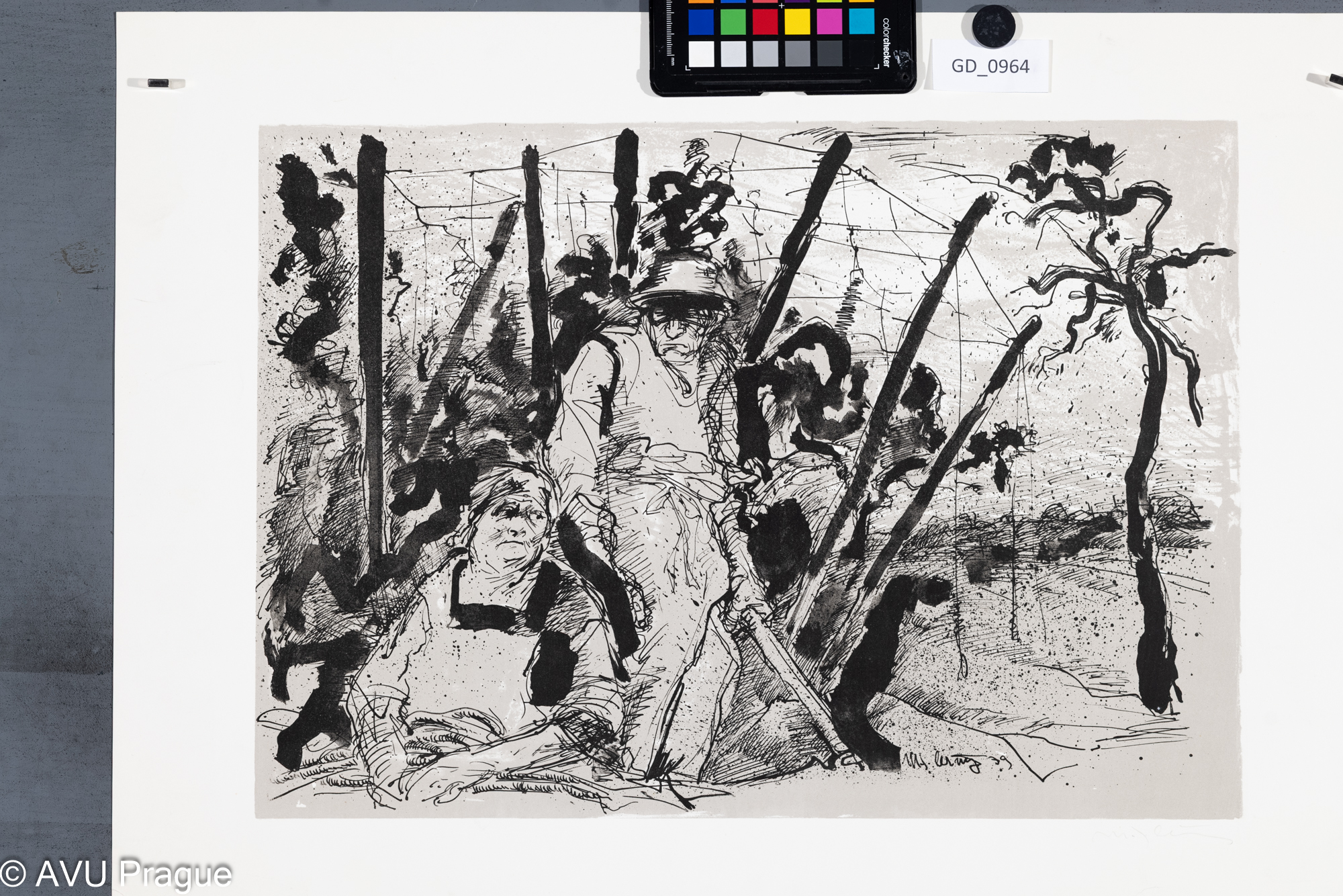 nezjištěno ( Černý?) 1939?, Na chmelu,Litografie - dvě barvy, 32,7 x 46,3, 44 x 59,7