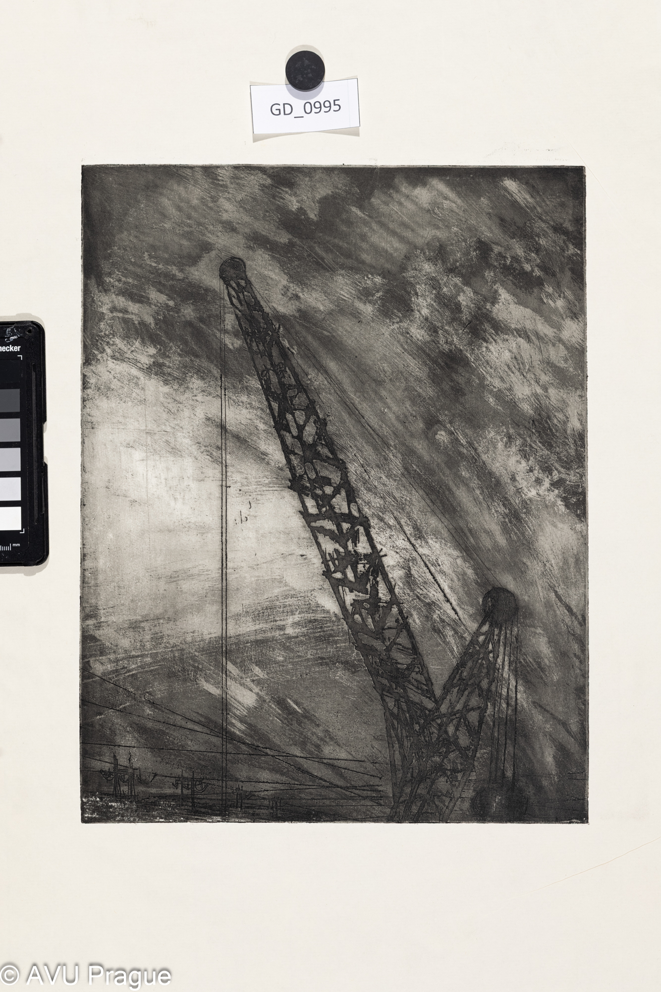 Zuzana Nováčková,Jeřáb, Lept / Rezerváž, 33,6 x 25,8, 57,8 x 42,5,Čepelák