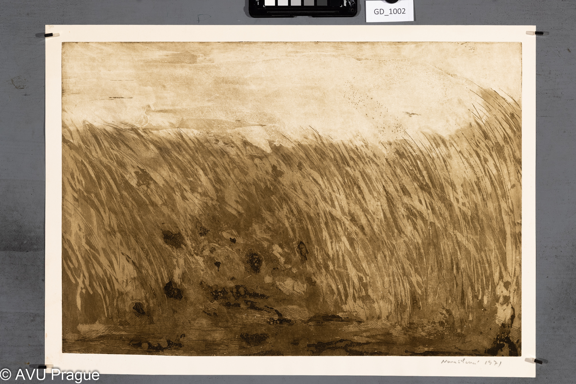 Zuzana Nováčková, Tráva, 1971,Lept / akvatinta, 36 x 53,         
40,7 x 56,5, Čepelák