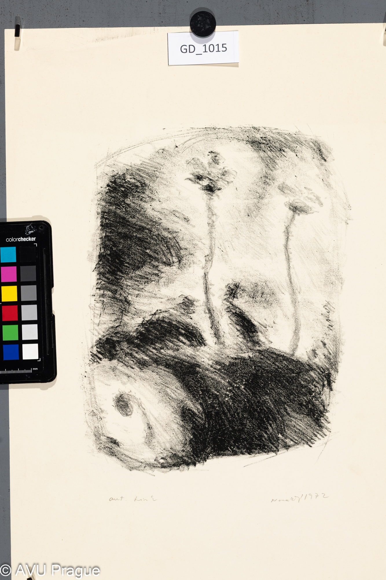 Zuzana Nováčková, Florální motiv, 1972, Litografie, 27 x 21, 44,1 x 31,1, Čepelák