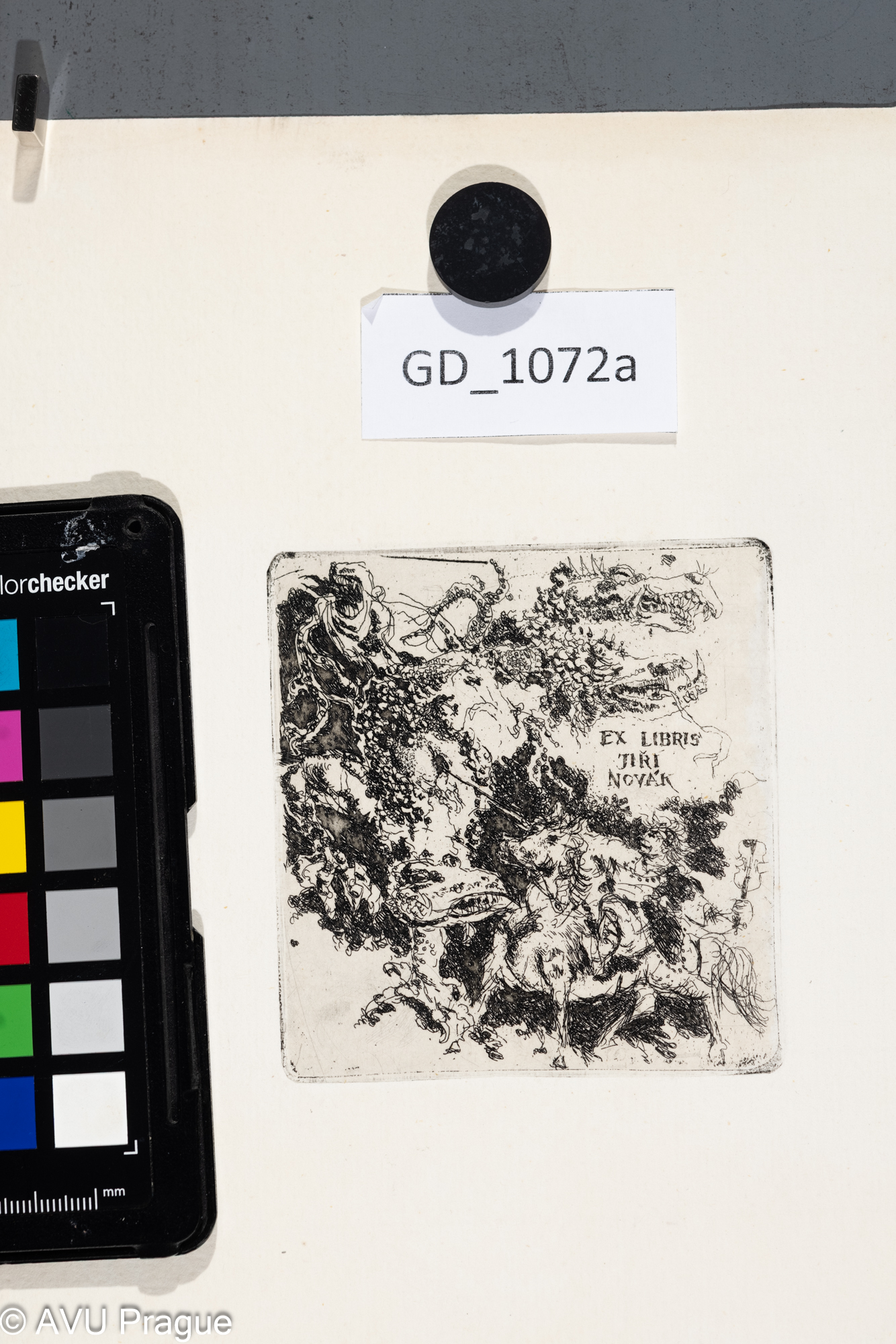 Ivana Kantůrková ?, Ex libris Jiří Novák, Lept, 8,8 x 8,2, 29,3 x 21,1,Čepelák