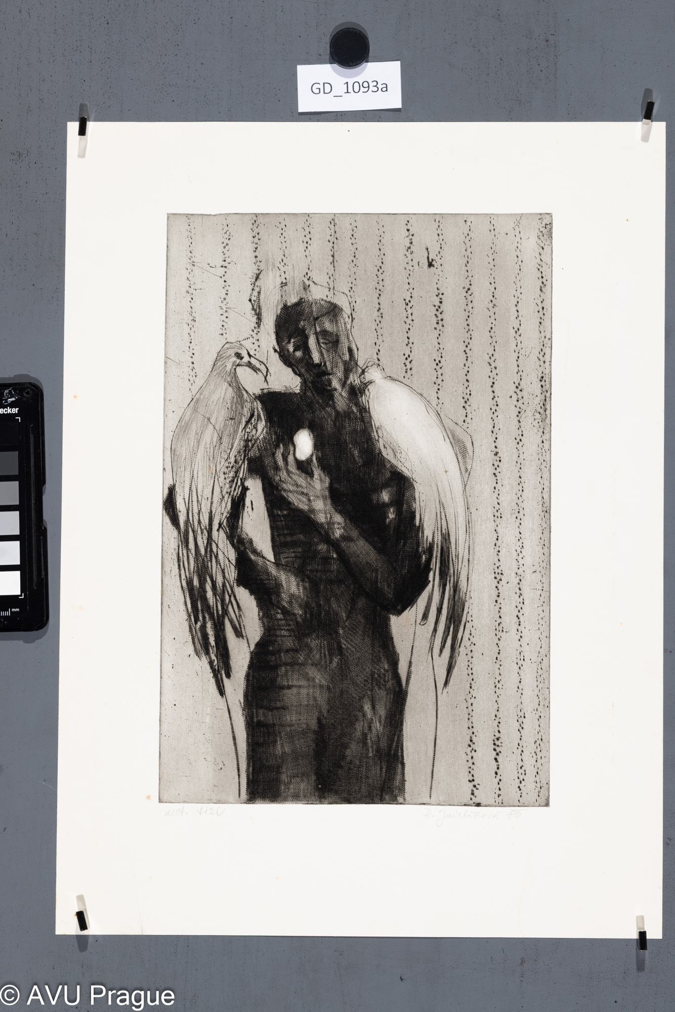 Radana Jařabáčová, Muž s ptáky a vejicem (Iluzionista), 1980,Suchá jehla, 29,2 x 19,5, 41 x 30,2,Čepelák