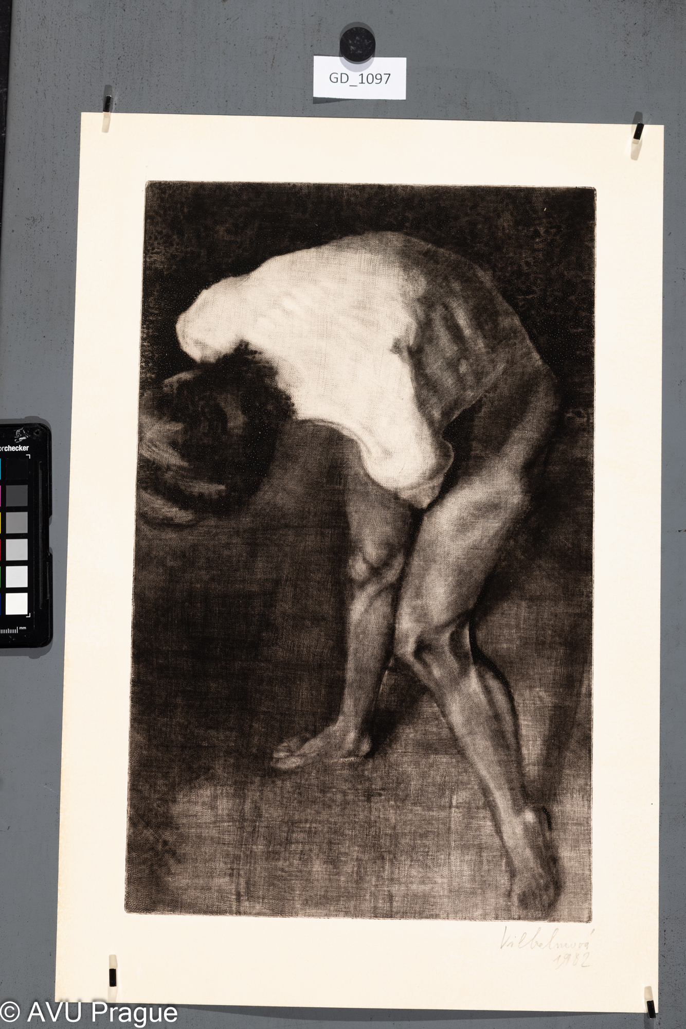 Lenka Wilhelmová, Figura, 1982,Mezzotinta, 40,7 x 25,7, 49,5 x 33,Čepelák