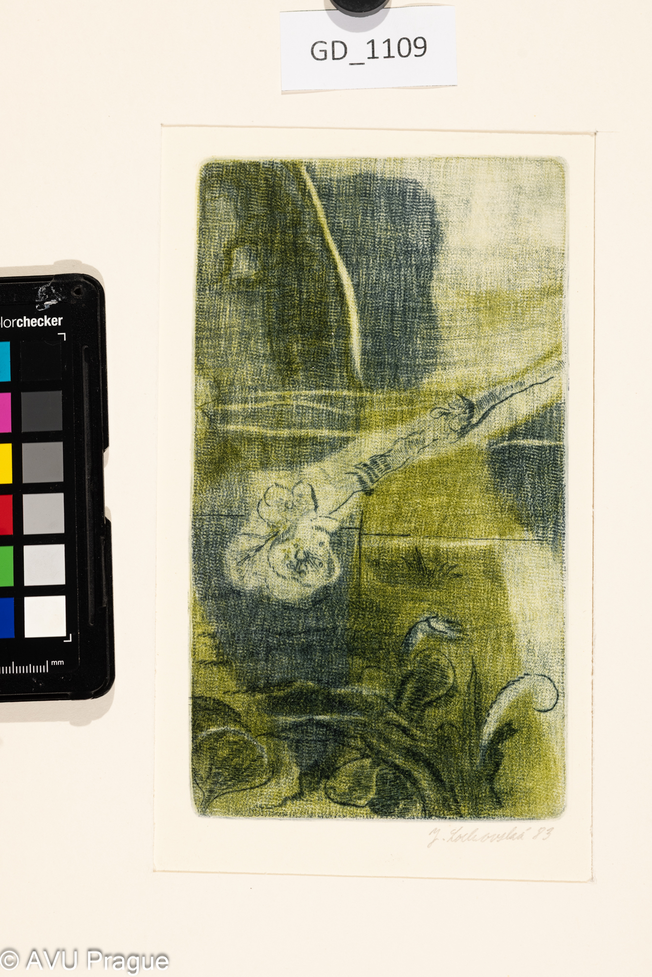 Jana Lochovská, Florální motiv, 1983, rytina skoblinou- soutisk ,19,5 x 11, 30 x 22, Čepelák