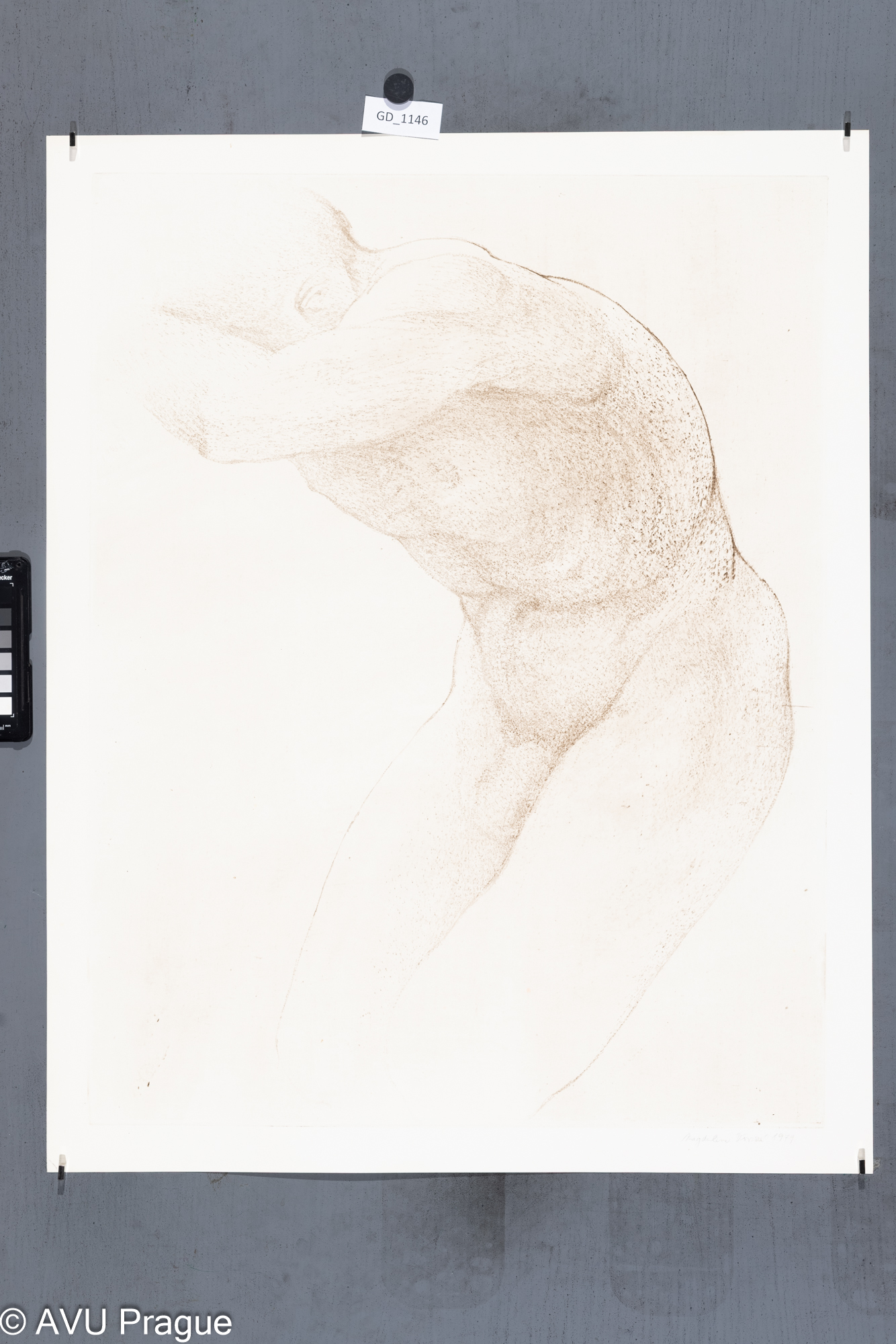 Magdalena Vovsová, Z cyklu  Model (Honěk), 1979, Suchá jehla, 64,2 x 49,8, 70,3 x 55,7, Čepelák