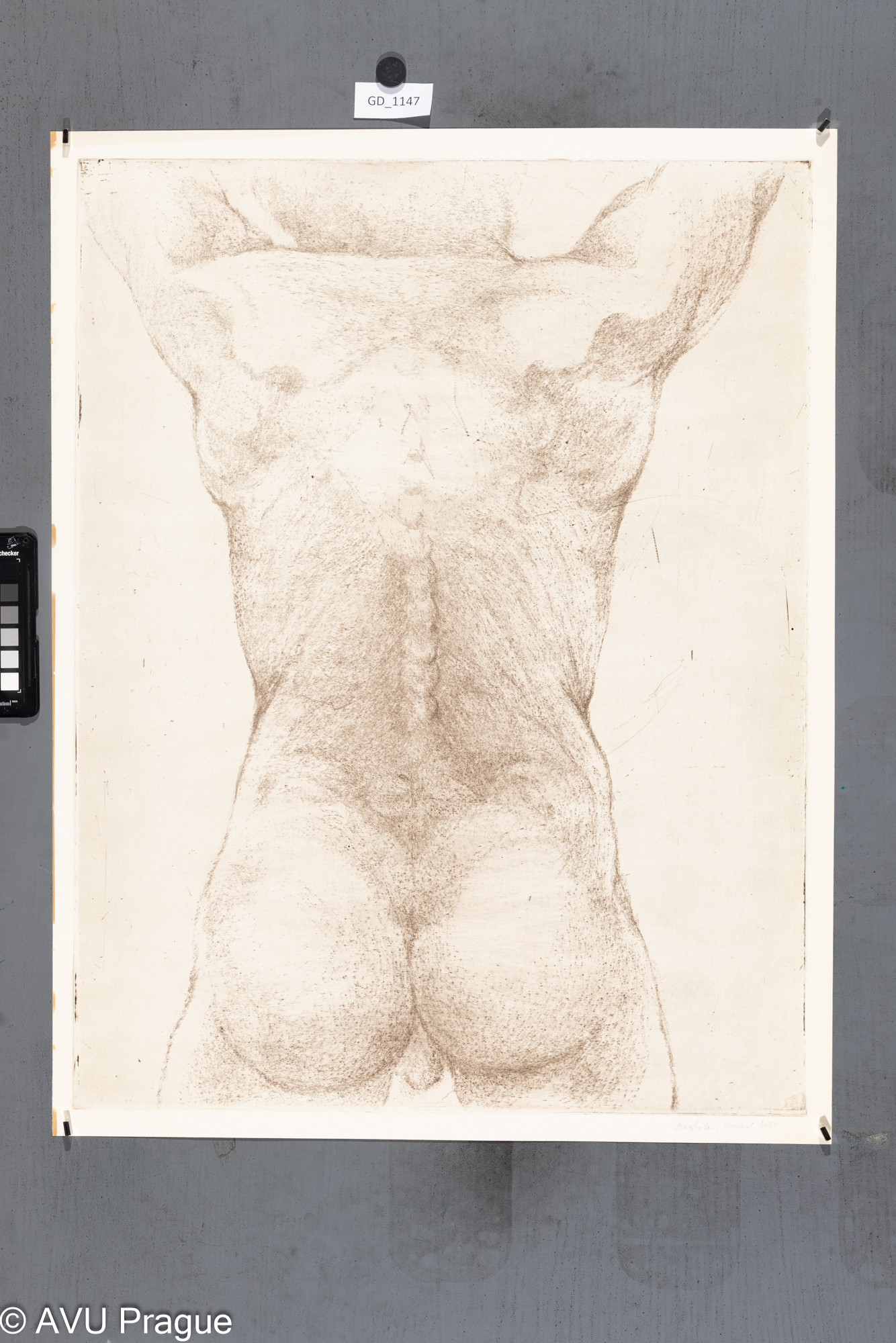 Magdalena Vovsová, Z cyklu  Model (Honěk), 1979, Suchá jehla, 64,5 x 49,6,68,4 x 52,7, Čepelák