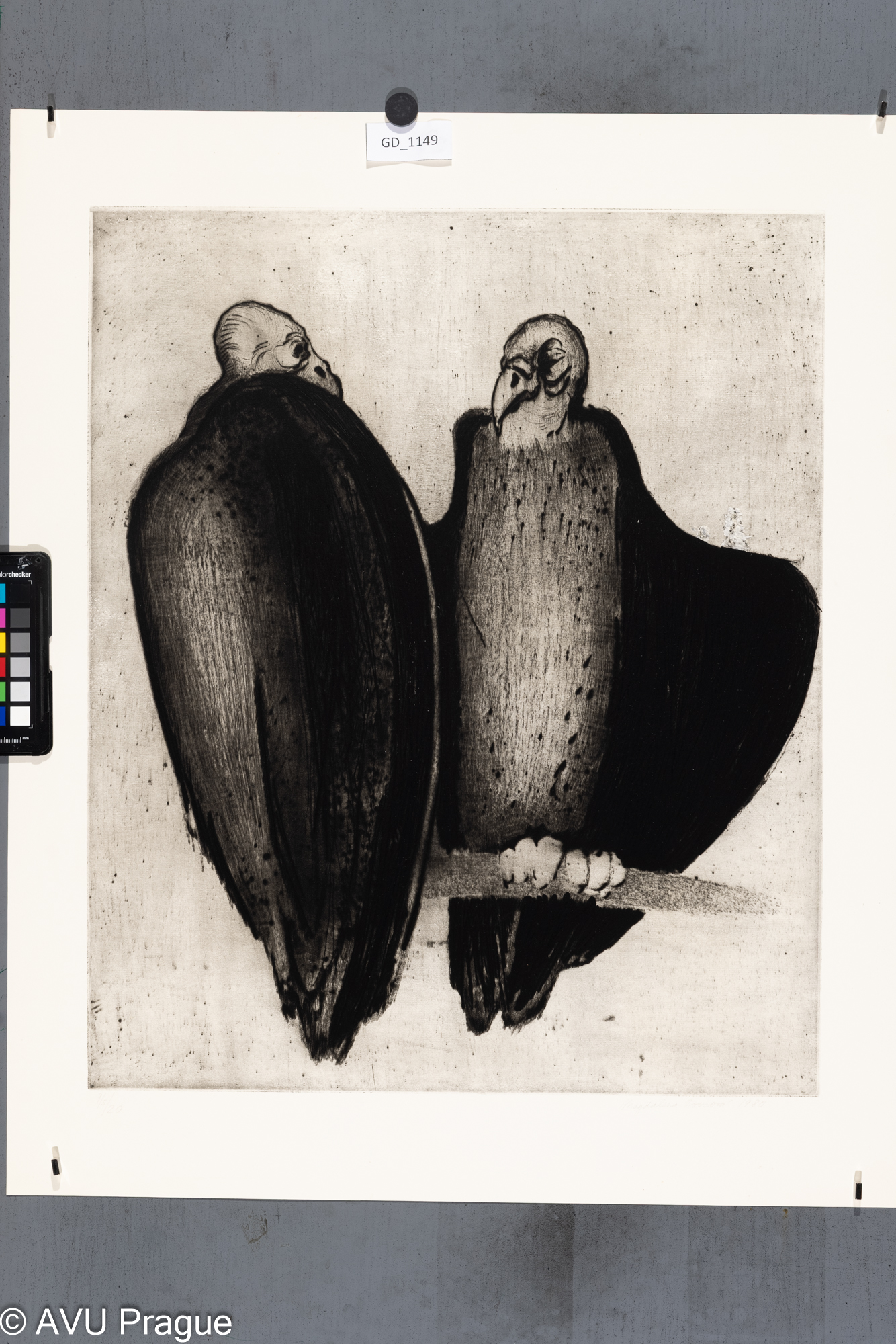 Magdalena Vovsová, Supi, 1980, Suchá jehla, 54,2 x 44,7,           
66,8 x 54,5, Čepelák