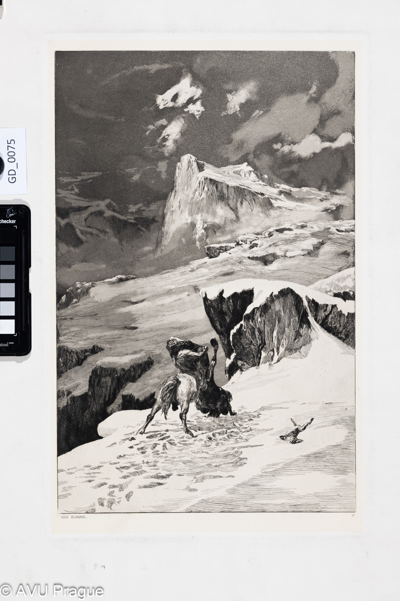 Bojující Kentauři / Kampfende Centauren