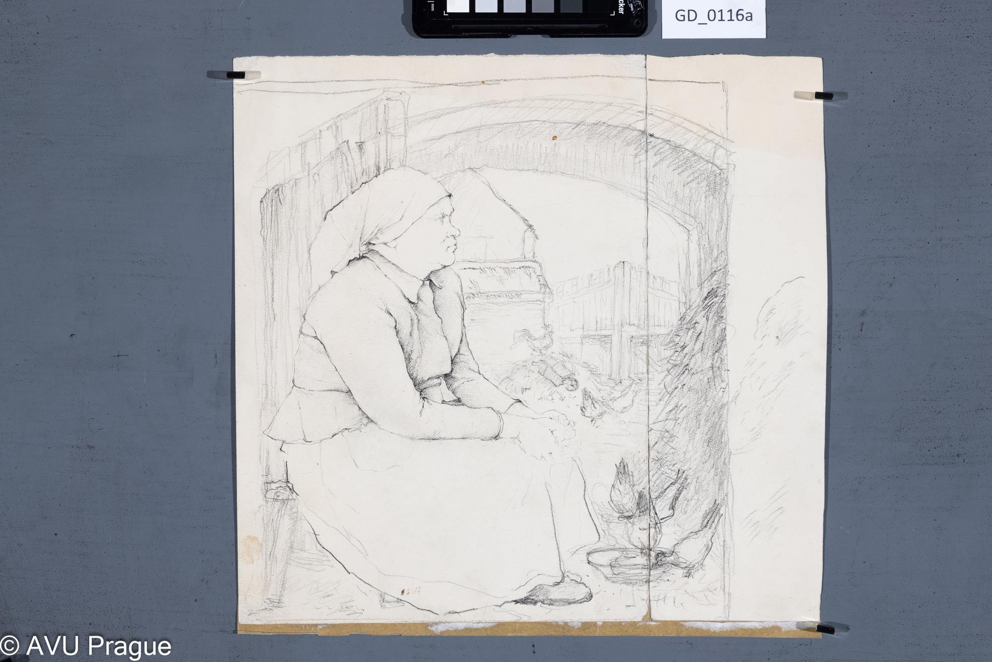 Studie selky na dvoře