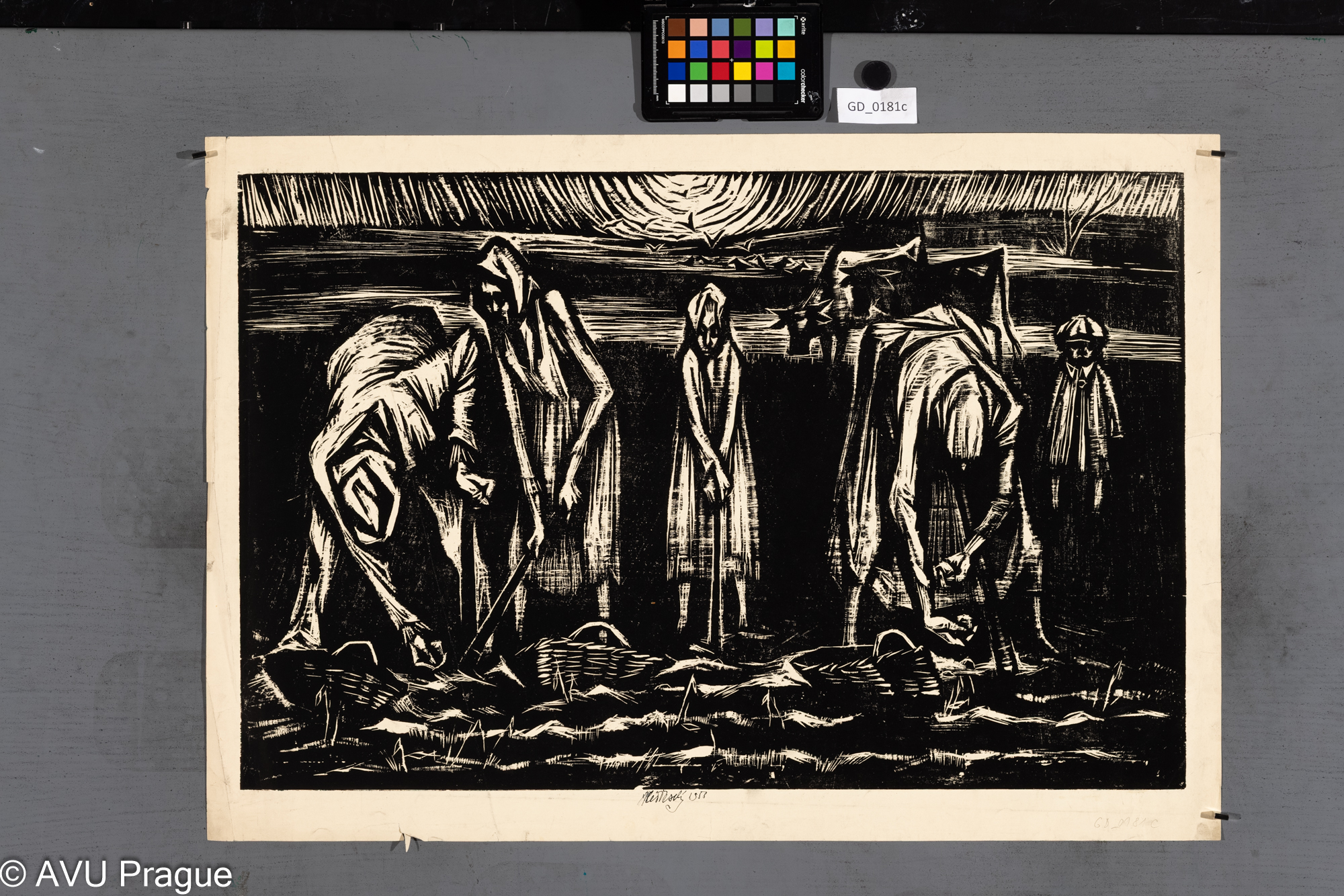 Práce na poli_revers